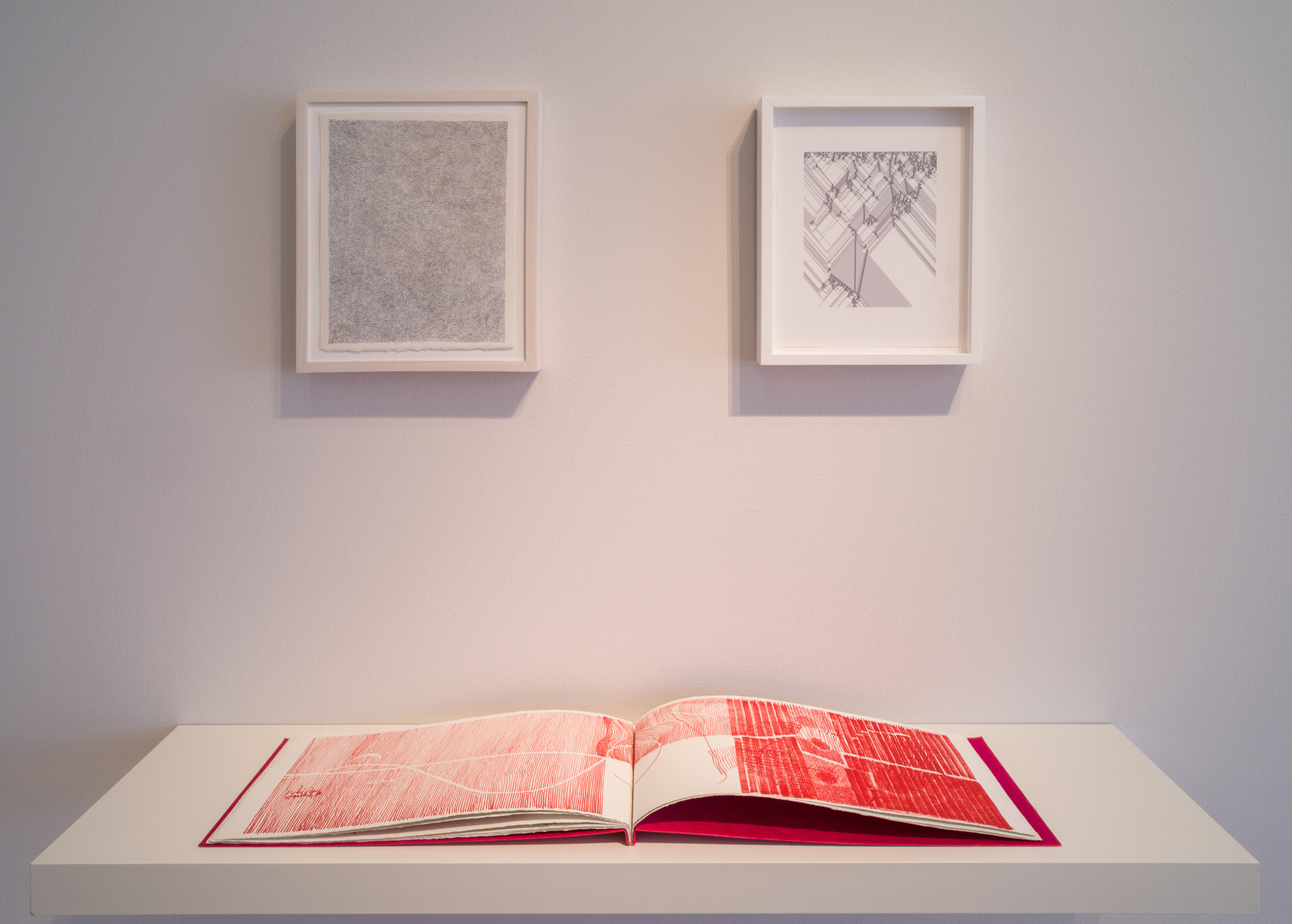 Linear Imaginations: Whistles, Visions, Fields, and Figures, Along the Lines of Gego, Installation view, 2015.