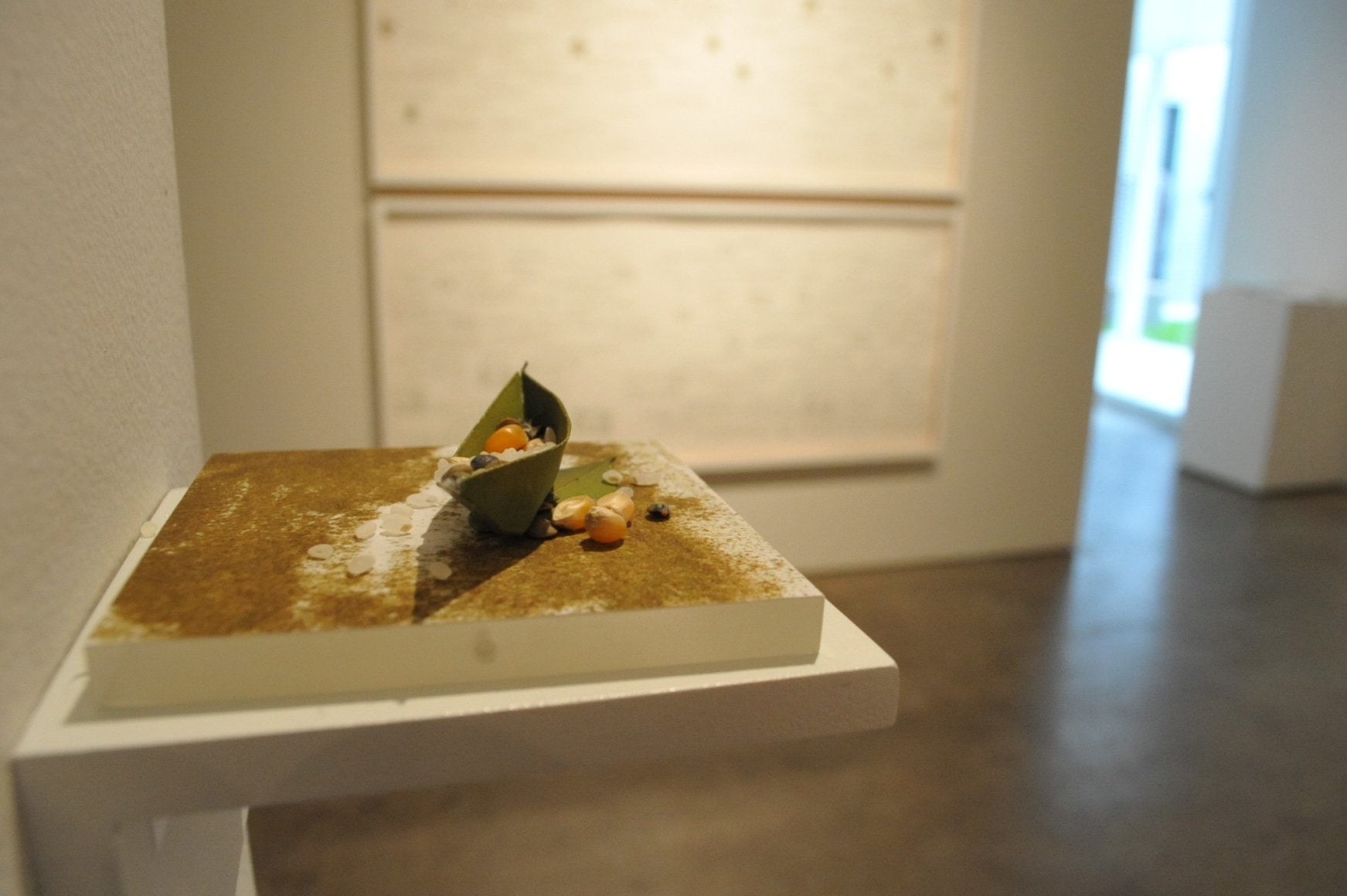 Miguel &Aacute;ngel Rojas,&nbsp;At the Edge of Scarcity&nbsp;Exhibition, Sicardi | Ayers | Bacino, 2011