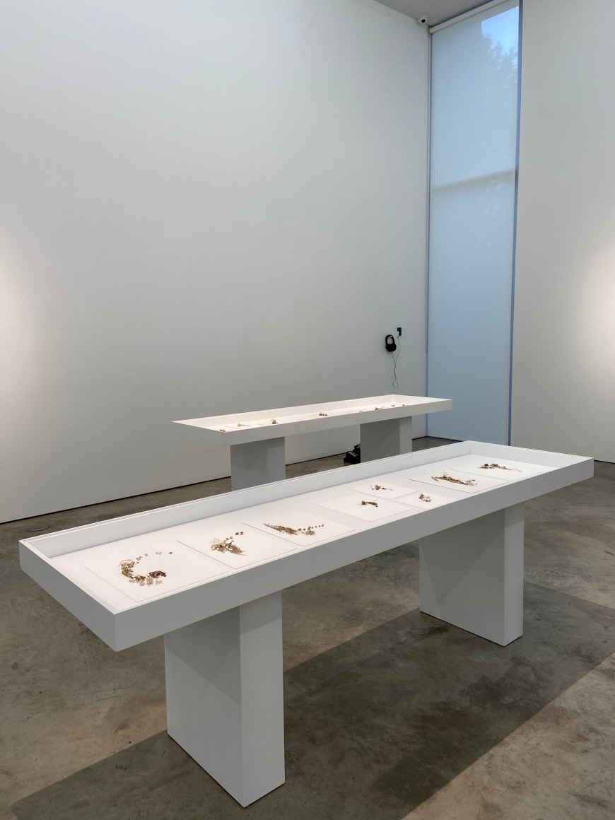 Gustavo D&iacute;az, A Brush with Uncertainty, 2019. Cut out paper and pencil, 30 1/8 x 91 11/16 x 26 5/8 in. (76.5 x 232.9 x 67.6 cm.) each table