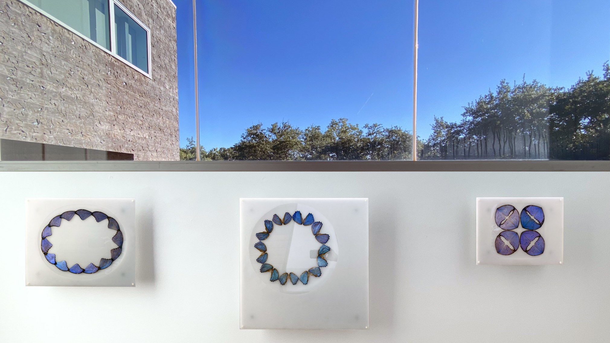 Installation view of the exhibition Nature at Sicardi Ayers Bacino, 2020.