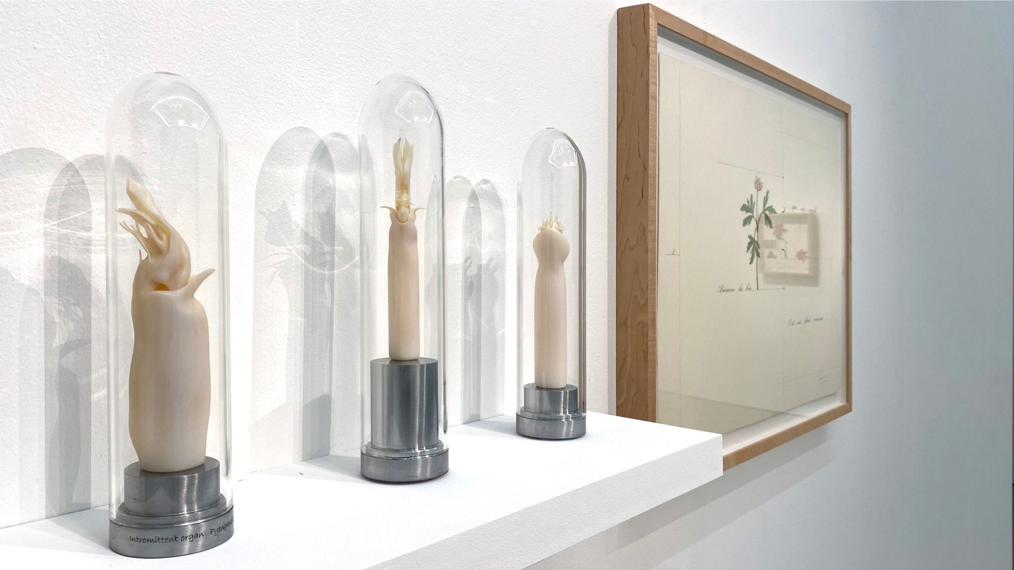 Installation view of the exhibition Nature at Sicardi Ayers Bacino, 2020.