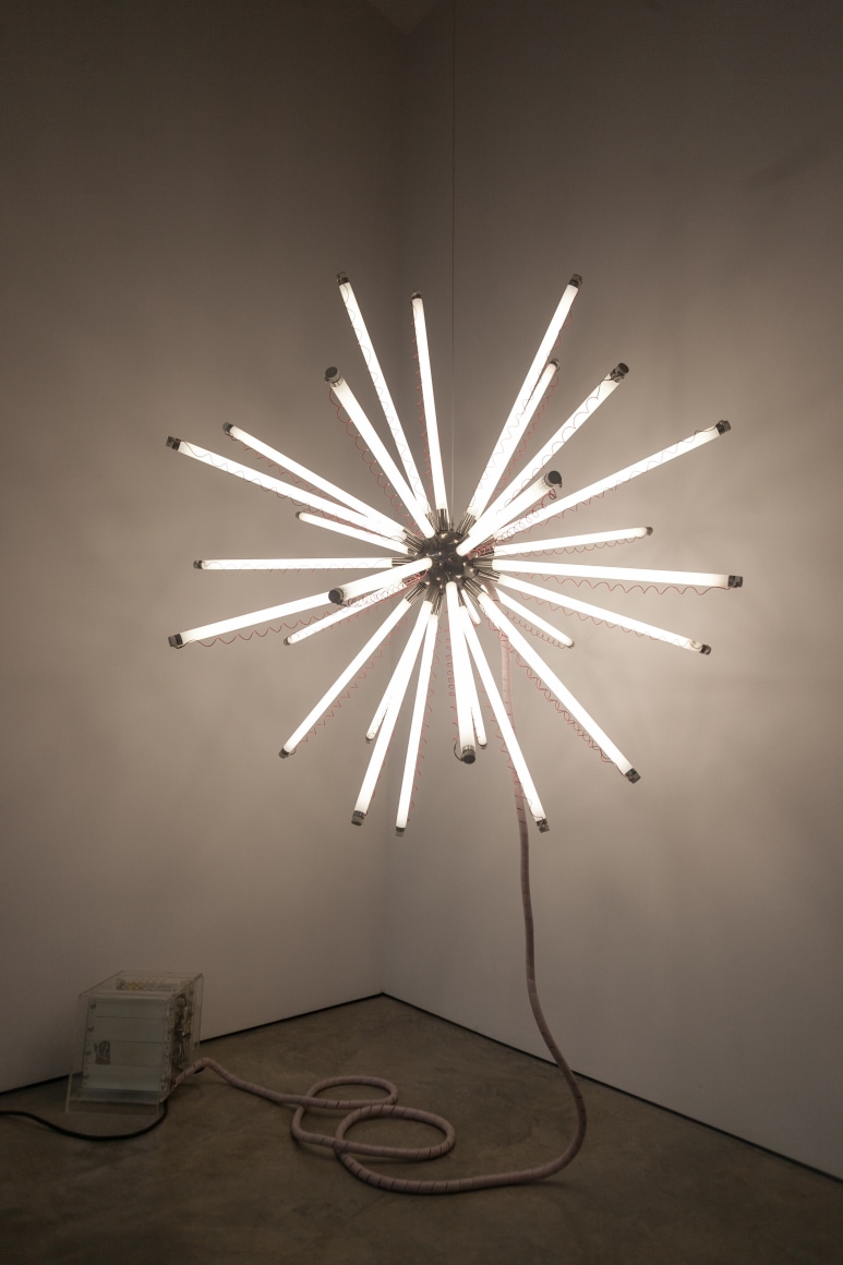 Mirando la flor, Installation view, 2016.