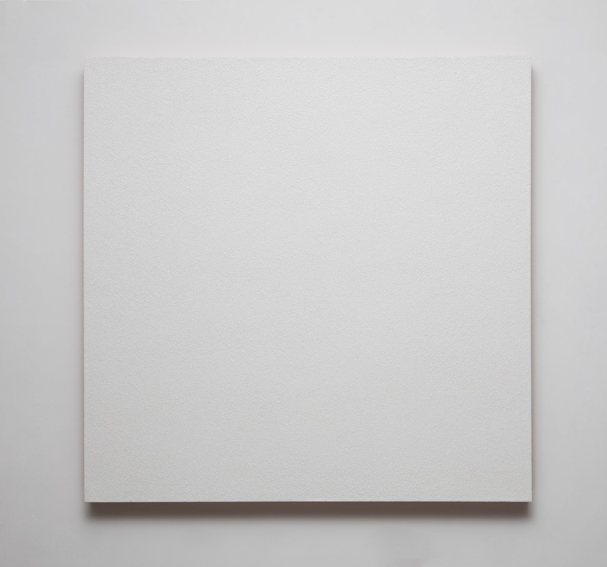 Gabriel de la Mora, 55,806, 2016. 55,806 eggshell pieces on wood, 29 1/2 x 29 1/2 x 1 9/16 in.