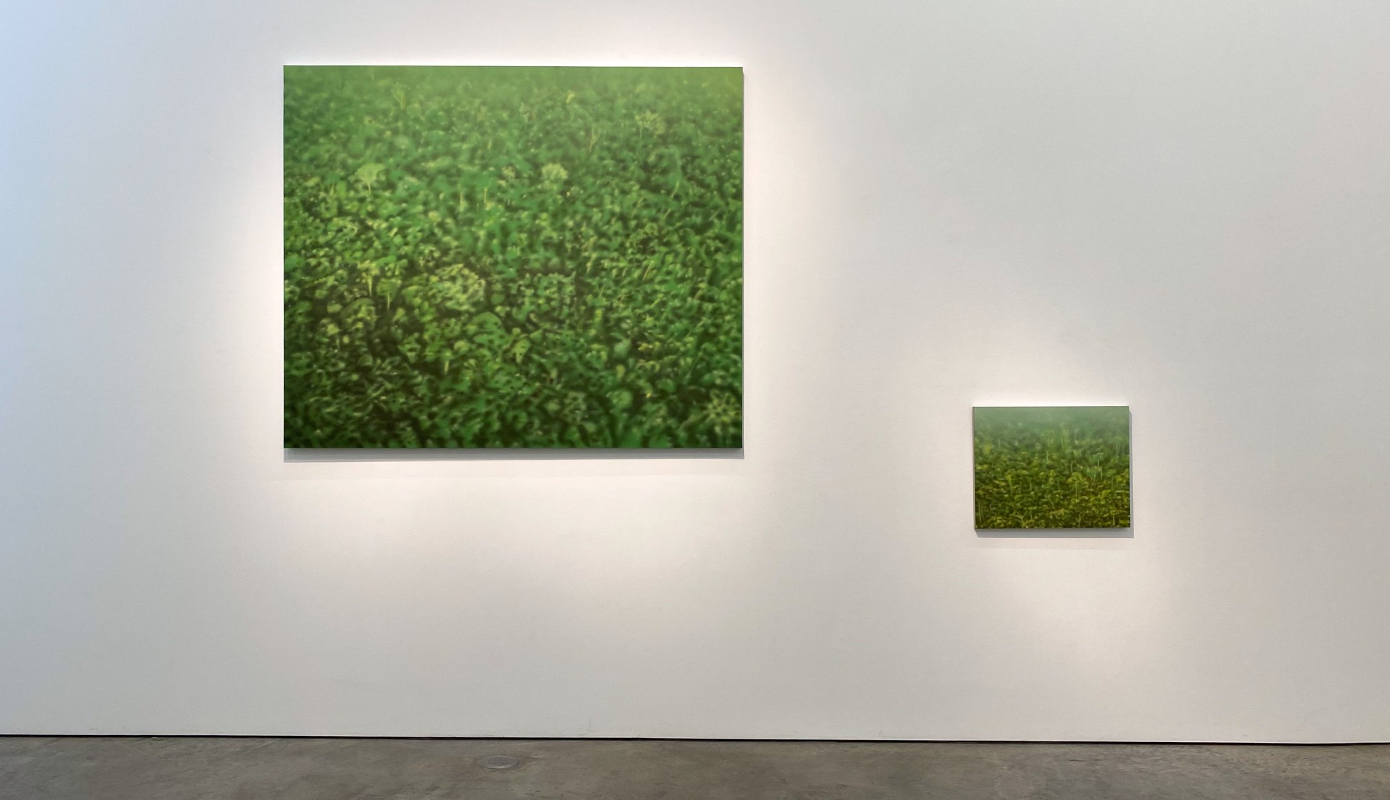 Installation view of the exhibition Nature at Sicardi Ayers Bacino, 2020.