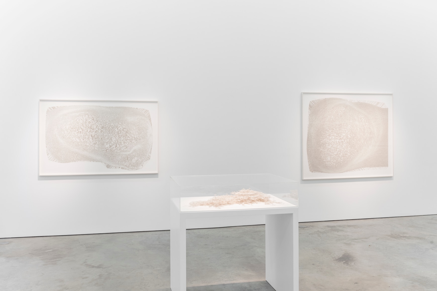 Fuzziness: Thinking on paper&nbsp;Gustavo D&iacute;az. Sicardi | Ayers | Bacino, 2018.