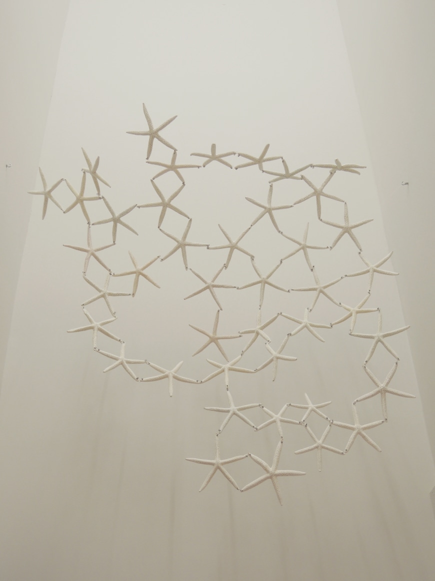 Mar&iacute;a Fernanda Cardoso, Untitled from the series, Woven Water, Submarine Landscape Oreastus Nodulosus, 1994-2015. Starfish, metal, variable dimensions