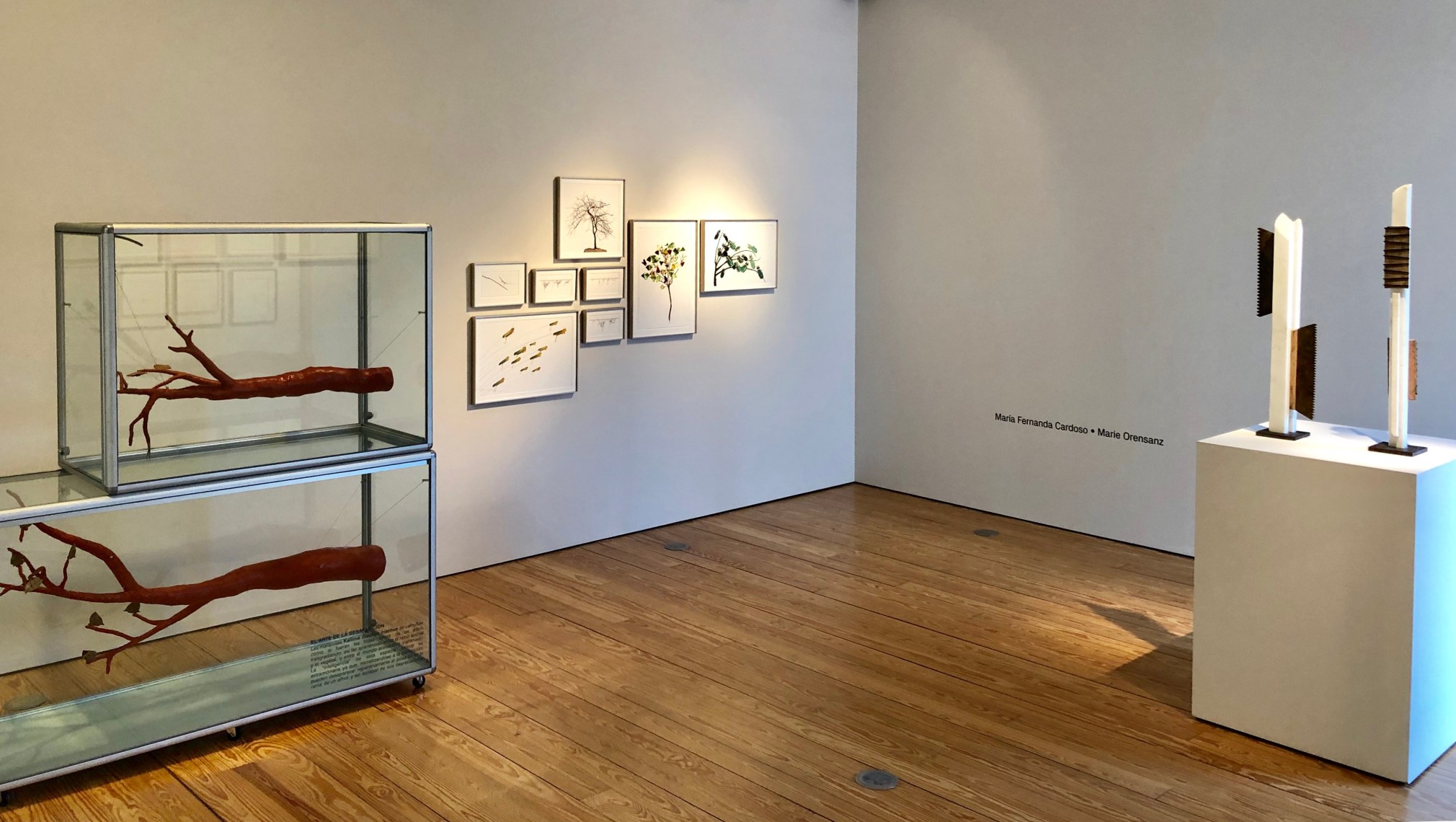 Maria Fernanda Cardoso + Marie Orensanz