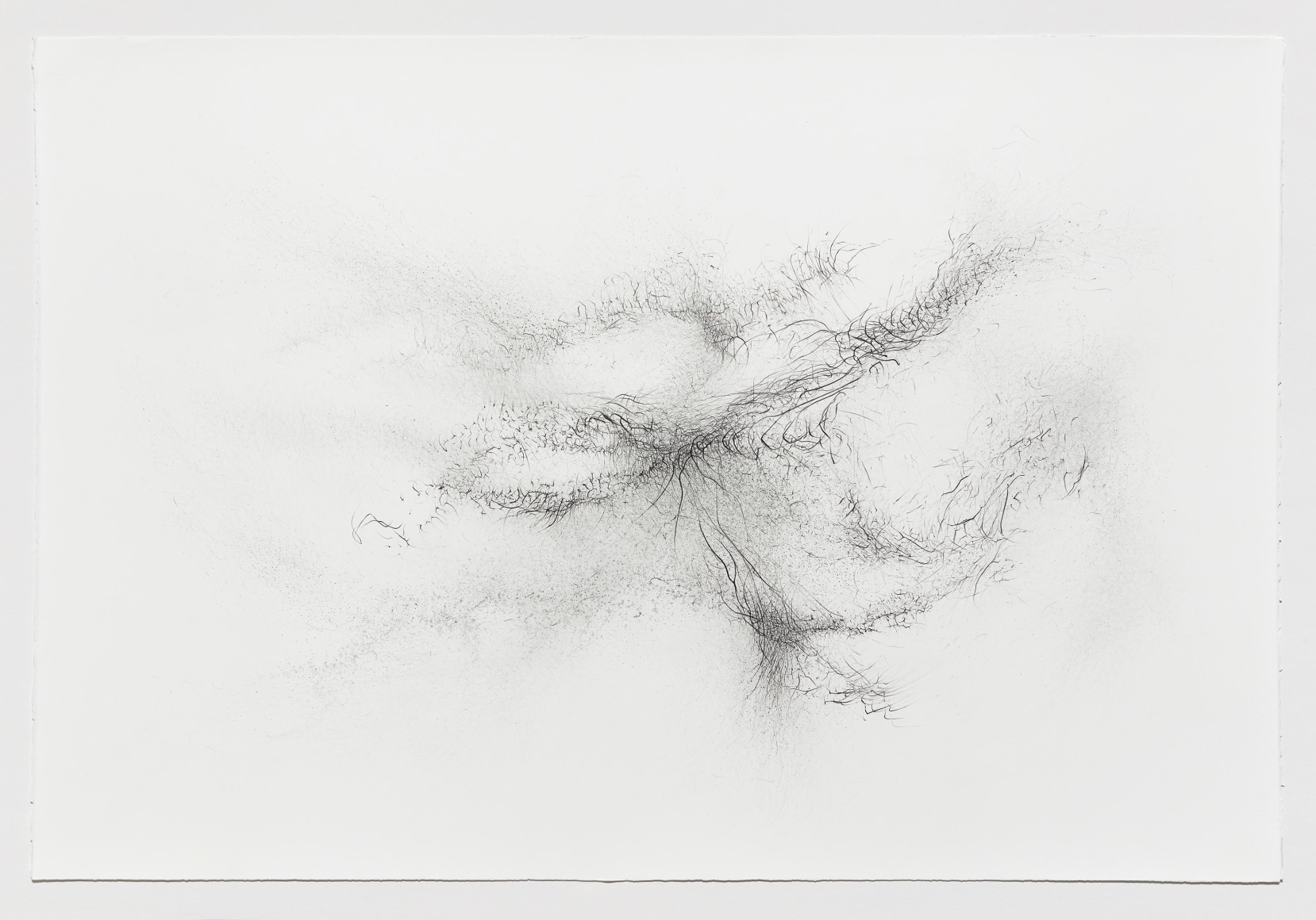 Gustavo D&iacute;az, Untitled, 2022. Graphite on paper, 30 x 44 5/8 in.