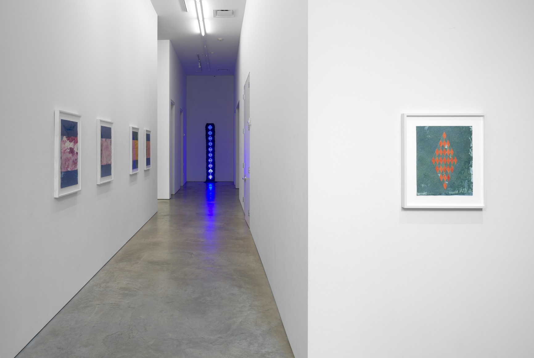 Installation view of Sandra Monterroso: The Healing Paradox at Sicardi | Ayers | Bacino, 2023.&nbsp;