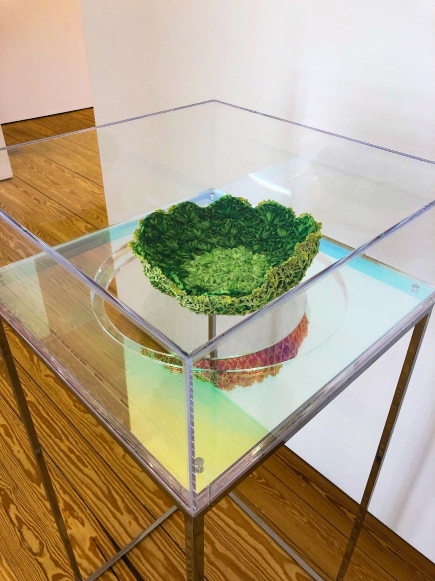 Ana Mar&iacute;a Tavares, Victorias Regias for Coc&oacute; River VI [Euryale Amazonica], 2014. Various fabrics, yarn, acrylic, and stainless steel, Vitrine: 47 5/8 x 19 7/8 x 19 7/8 in. (121 x 50.5 x 50.5 cm.)