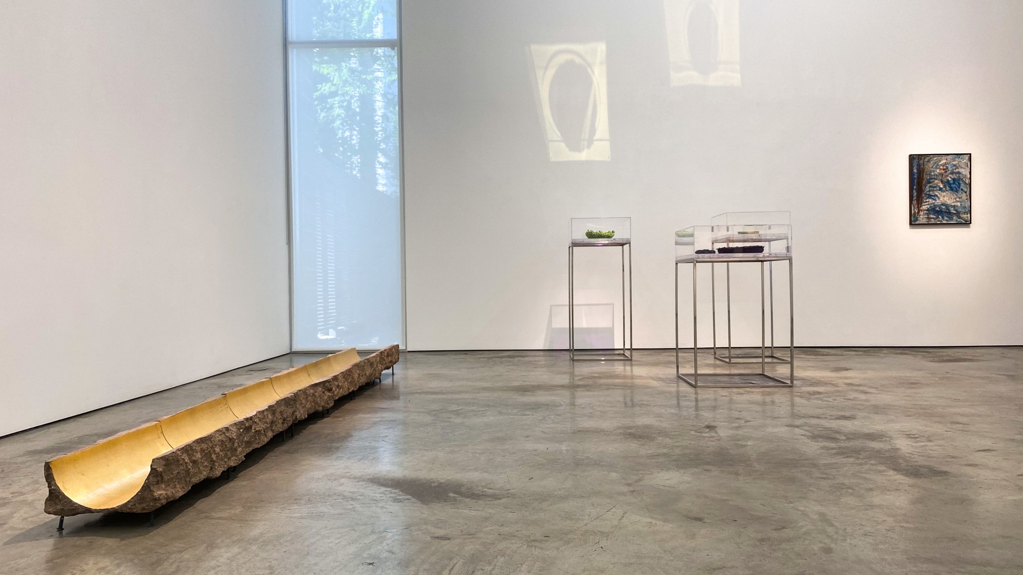 Installation view of the exhibition Nature at Sicardi Ayers Bacino, 2020.