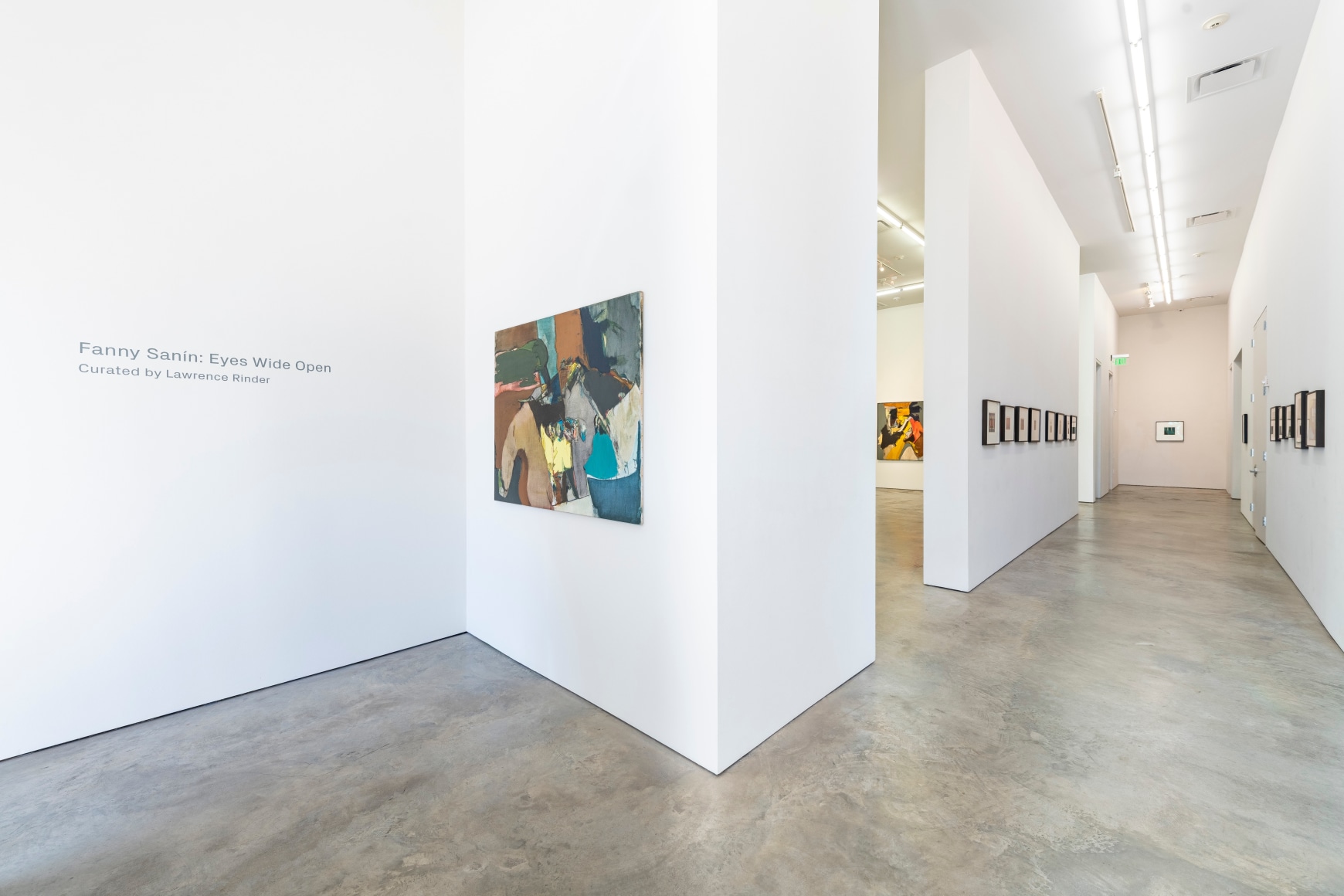 Installation view of&nbsp;Fanny San&iacute;n: Eyes Wide Open, 2024, Sicardi | Ayers | Bacino. Photo by Anthony Rathbun.