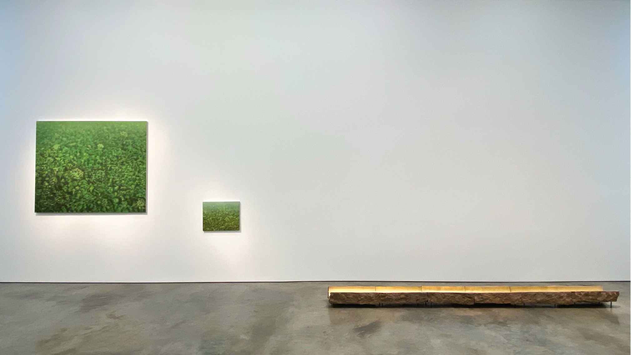 Installation view of the exhibition Nature at Sicardi Ayers Bacino, 2020.