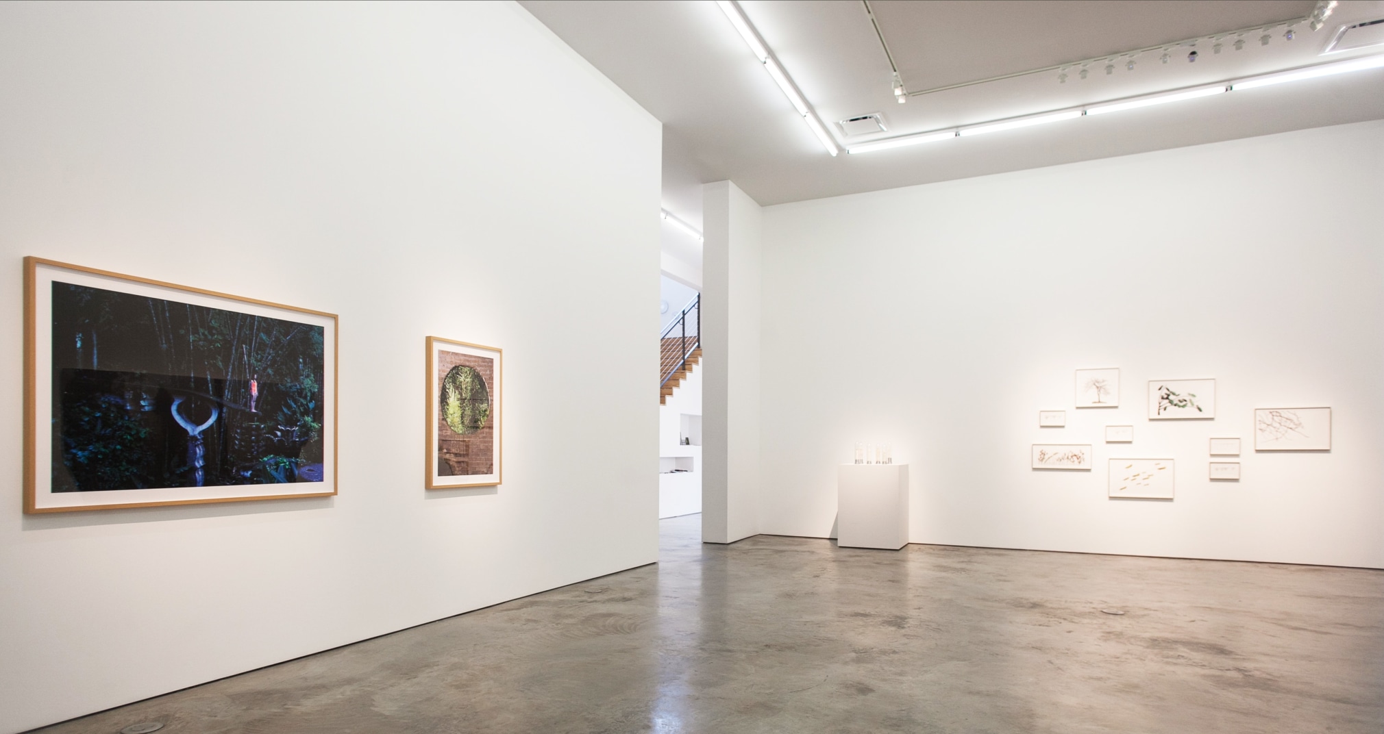 Mirando la flor, Installation view, 2016.