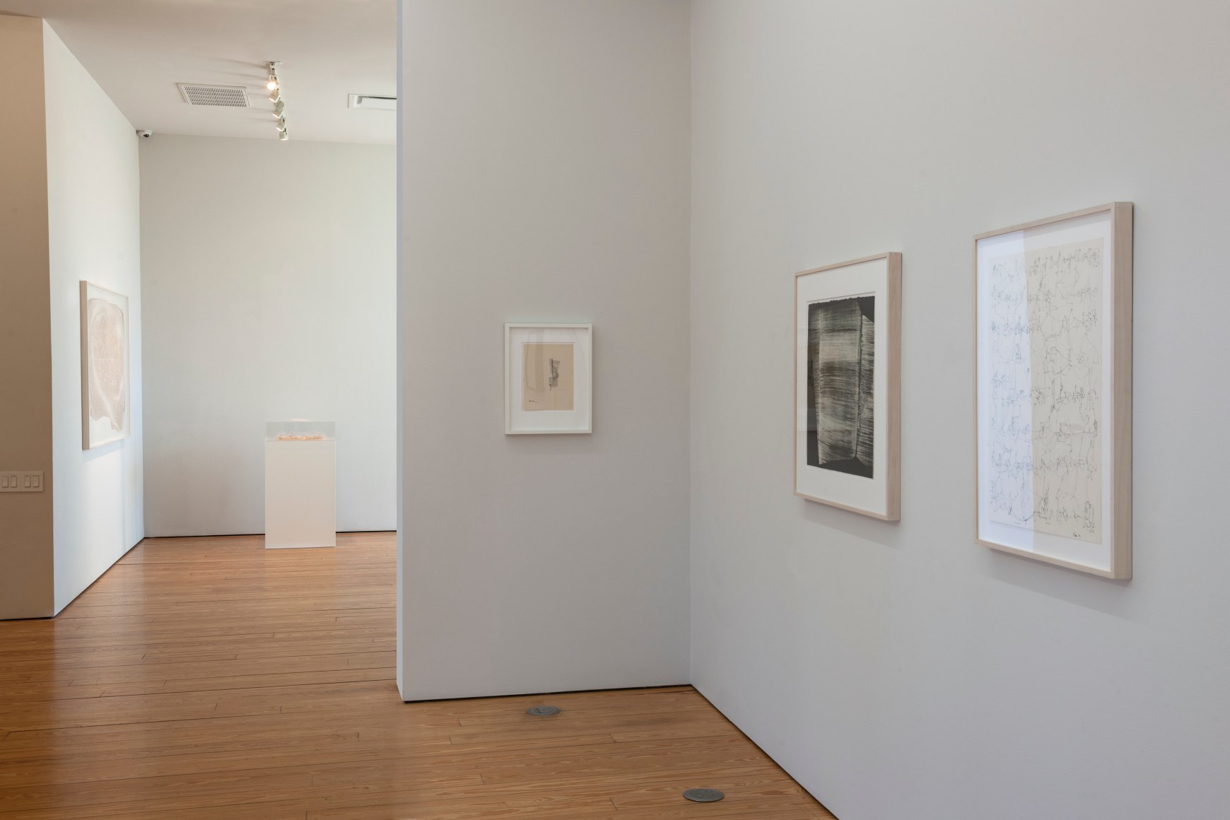 Common Ground. Sicardi | Ayers | Bacino, 2018