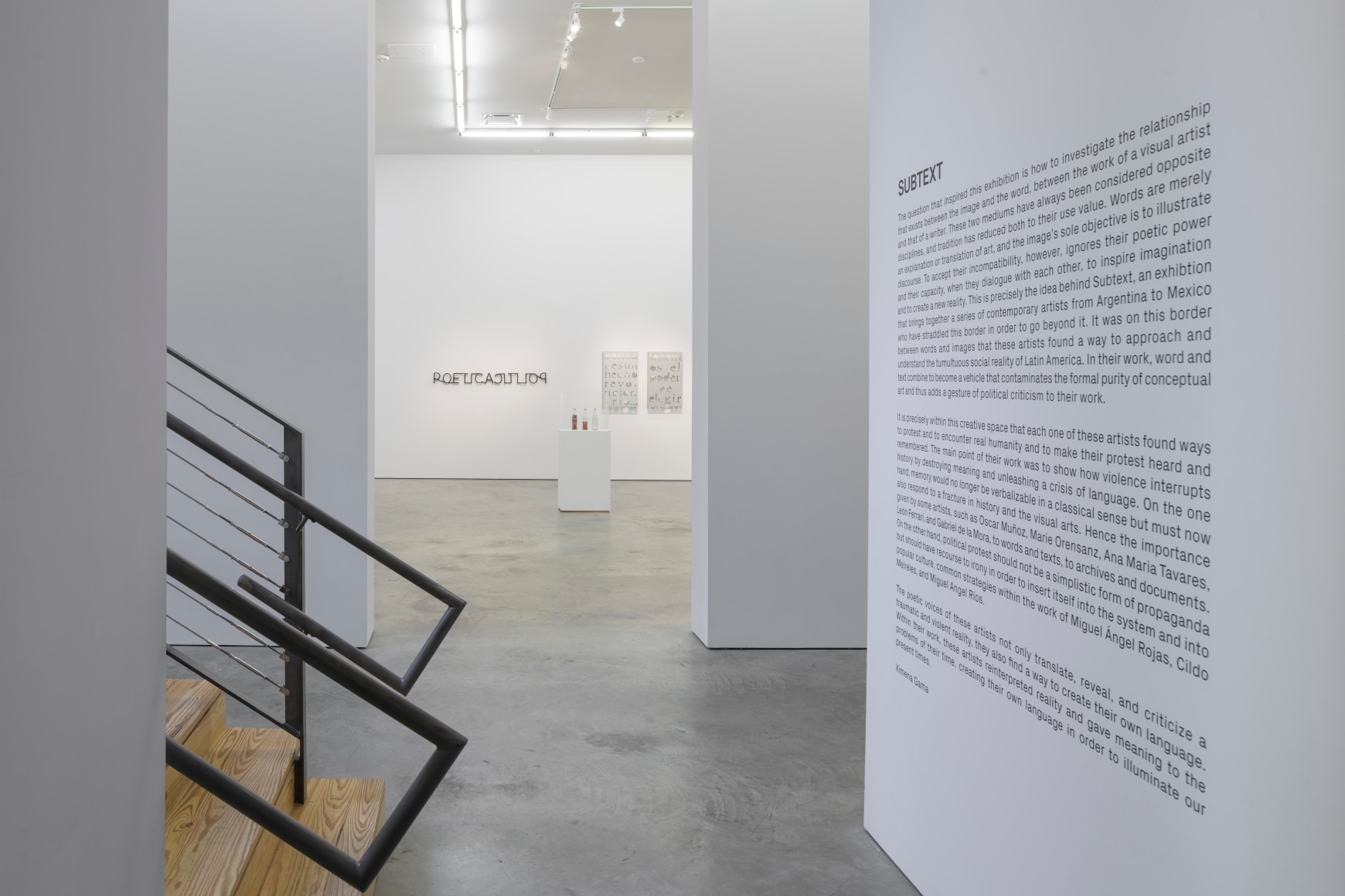 Installation view of&nbsp;Subtext&nbsp;at Sicardi | Ayers | Bacino, 2021.