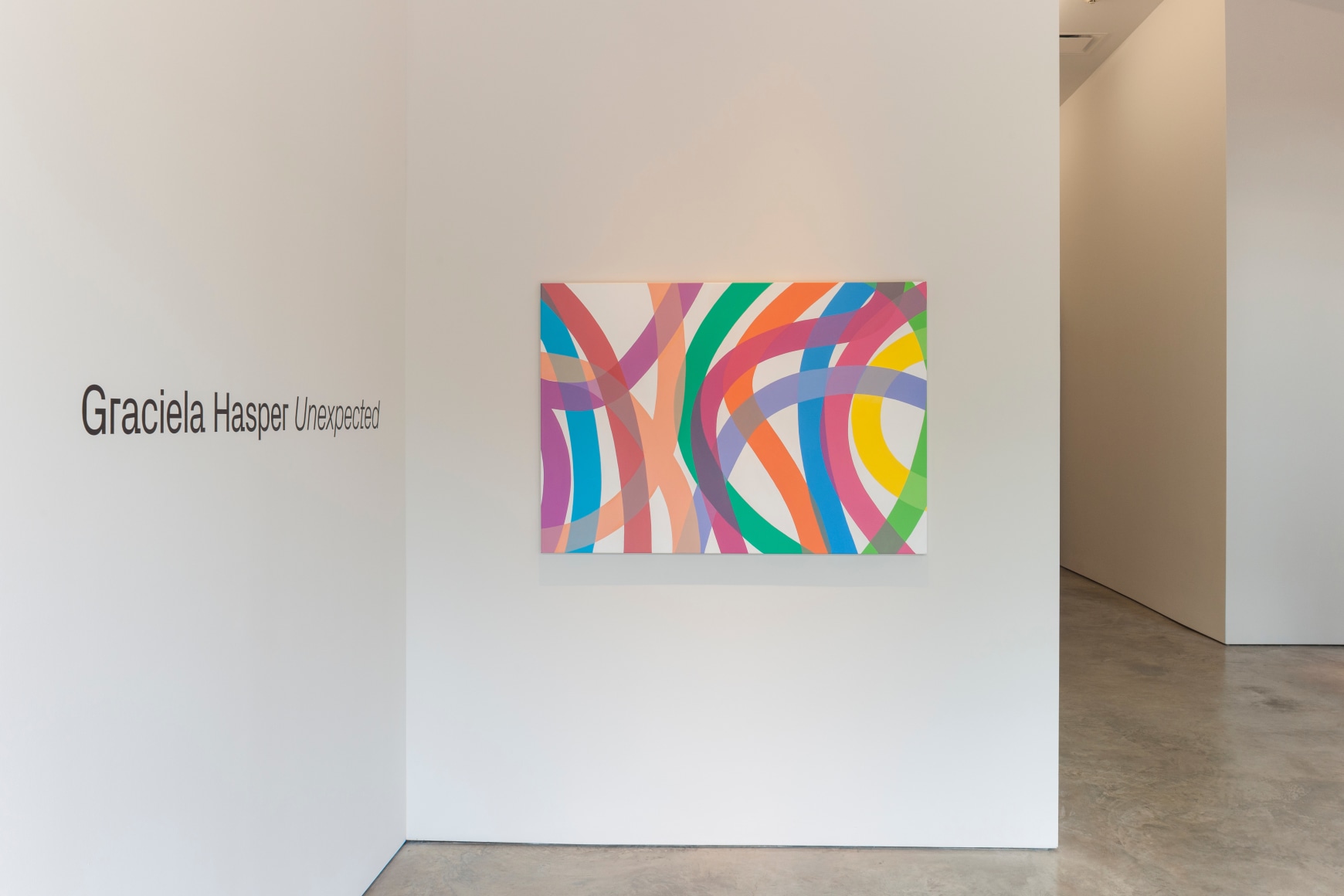 Installation view of&nbsp;Graciela Hasper:&nbsp;Unexpected&nbsp;exhibition, Sicardi Ayers Bacino, 2019.