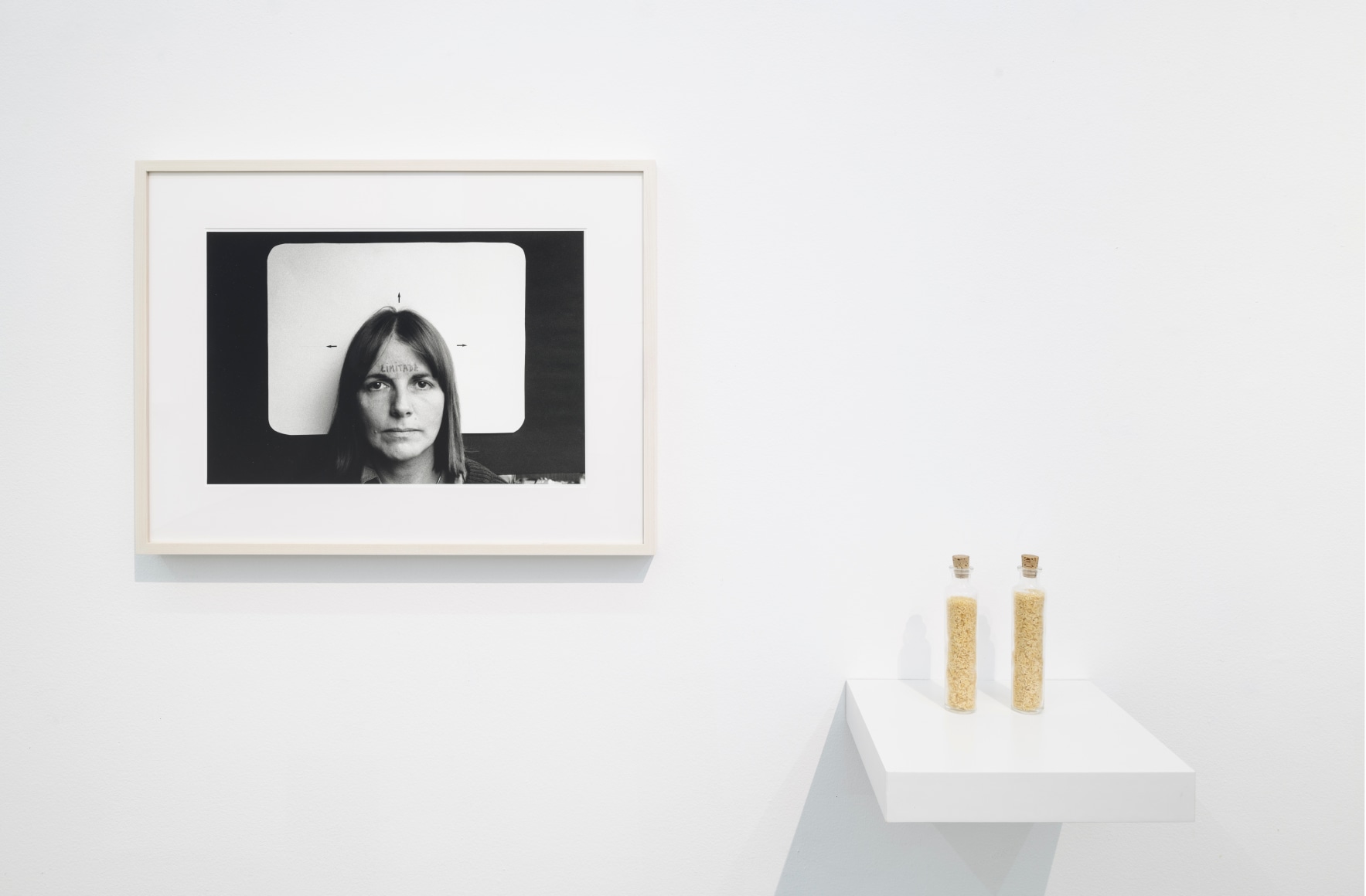 Installation view of&nbsp;Subtext&nbsp;at Sicardi | Ayers | Bacino, 2021.