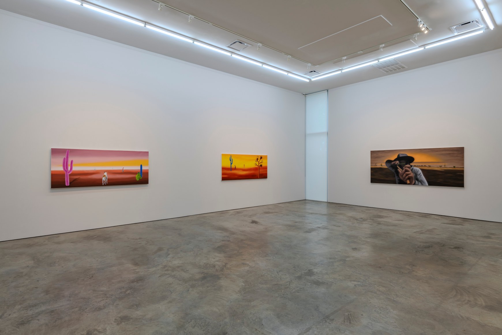 Miguel Angel R&iacute;os: Merged with Vastness, installation at Sicardi | Ayers | Bacino. Photo by Anthony Rathbun.