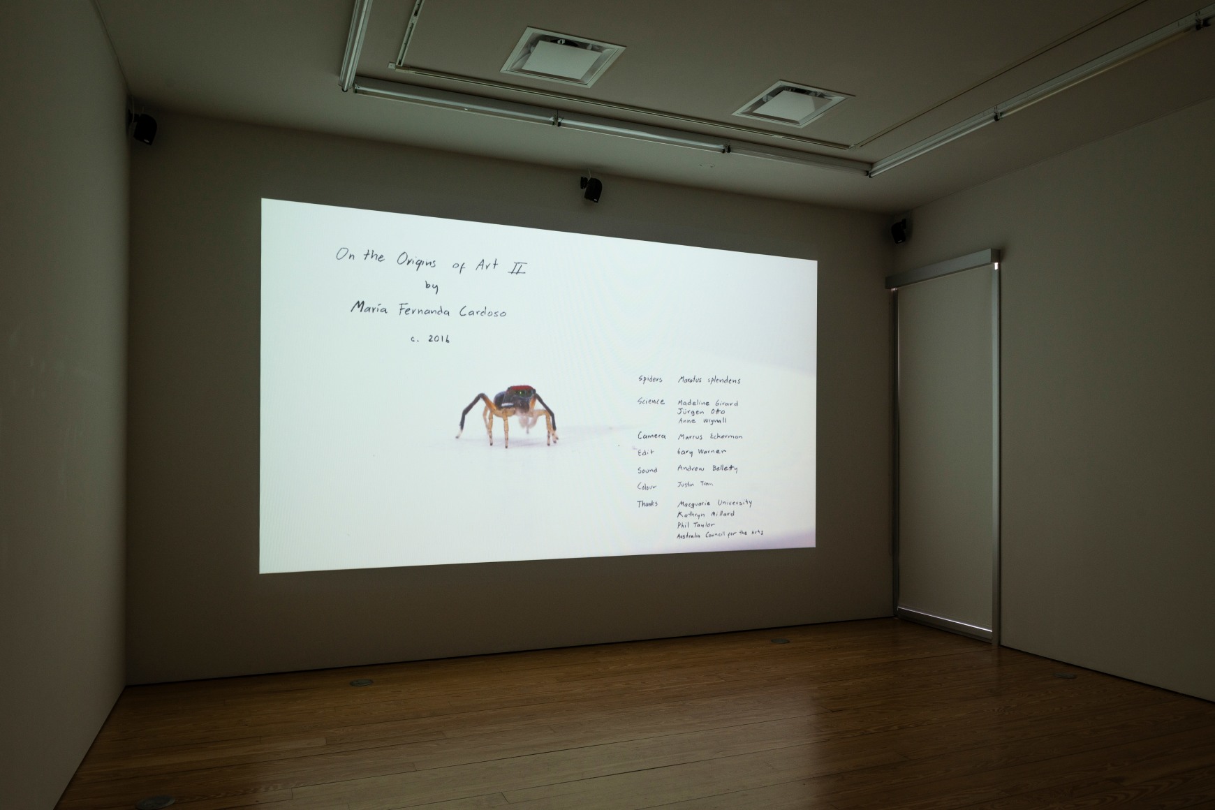 Maria Fernanda Cardoso:&nbsp;On the Origins of Art. Sicardi | Ayers | Bacino, 2018