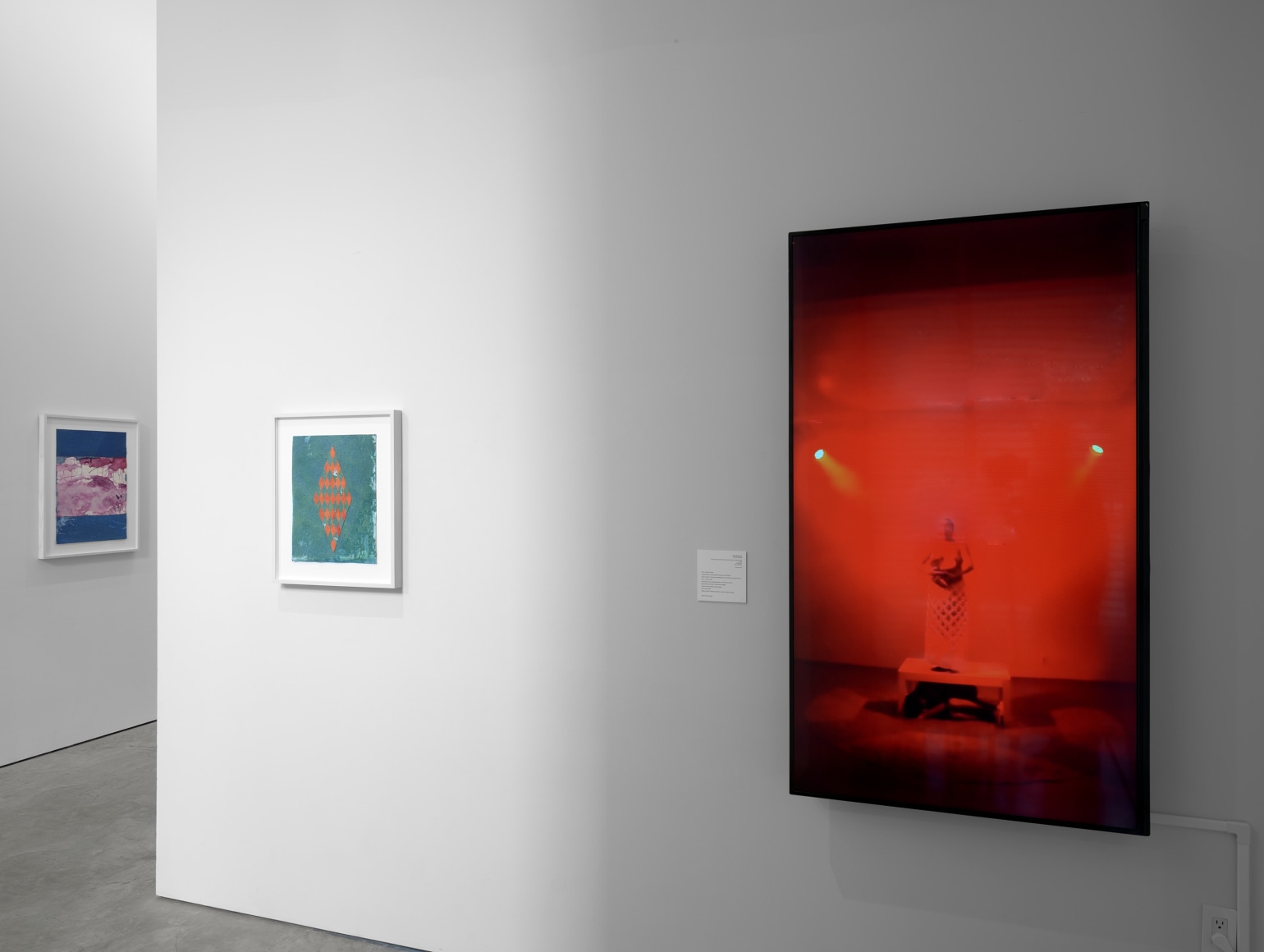 Installation view of Sandra Monterroso: The Healing Paradox at Sicardi | Ayers | Bacino, 2023.&nbsp;