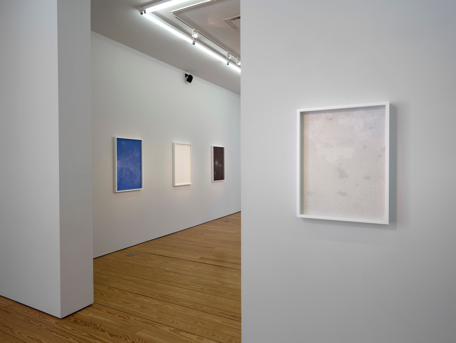 Installation view of Marco Maggi: No Visual Distancing Please at Sicardi | Ayers | Bacino, 2021.