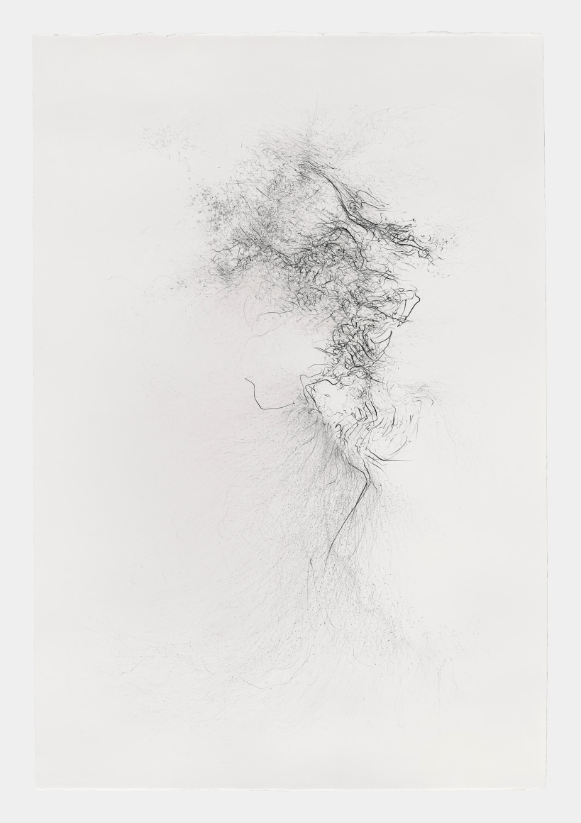 Gustavo D&iacute;az, Flock ascending to the quantum garden, 2021. Graphite on paper, 48 &frac14; x 33 &frac34; x 2 ⅛ in. (122.7 x 85.6 x 5.4 cm.)