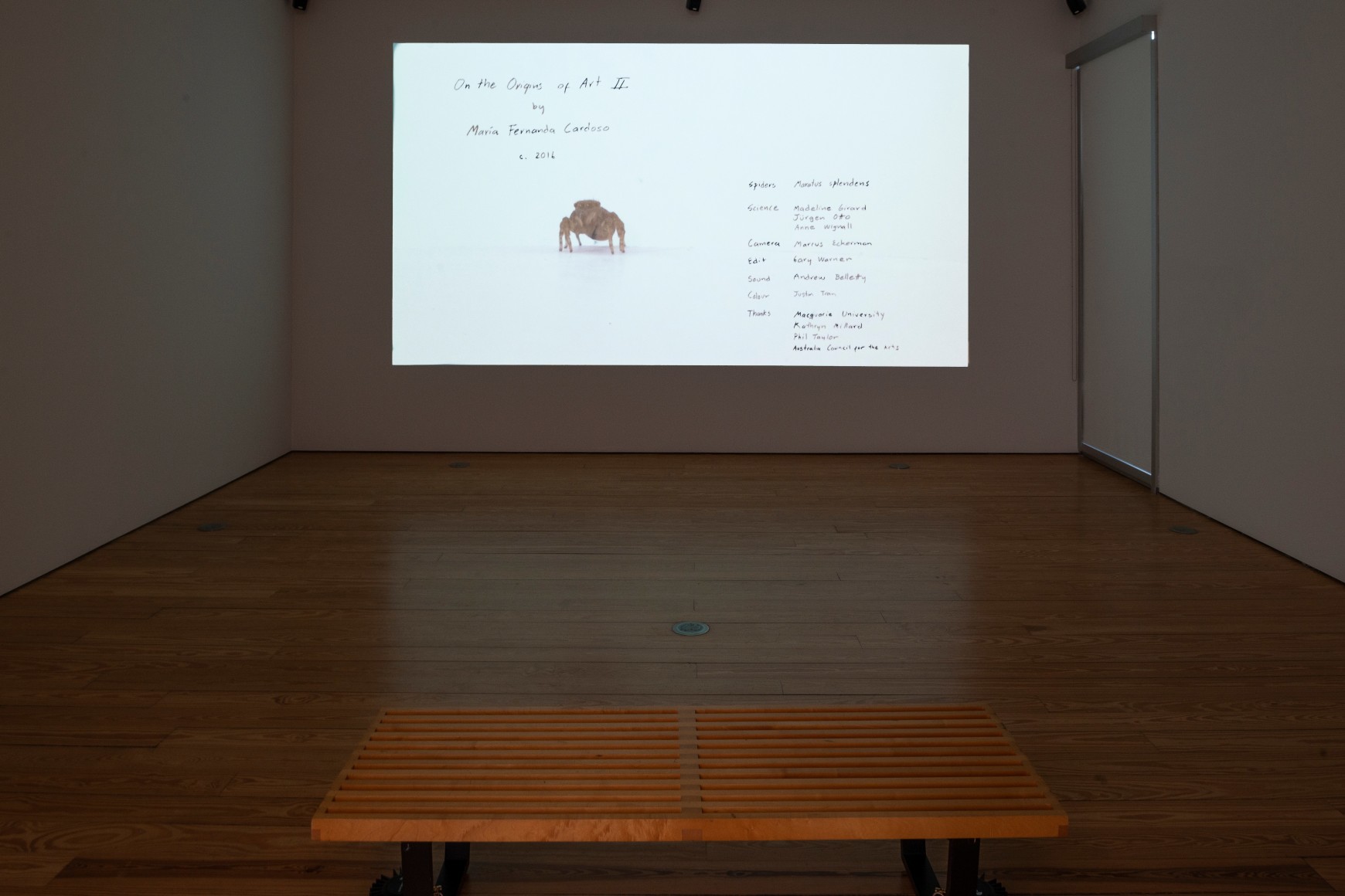 Maria Fernanda Cardoso:&nbsp;On the Origins of Art. Sicardi | Ayers | Bacino, 2018