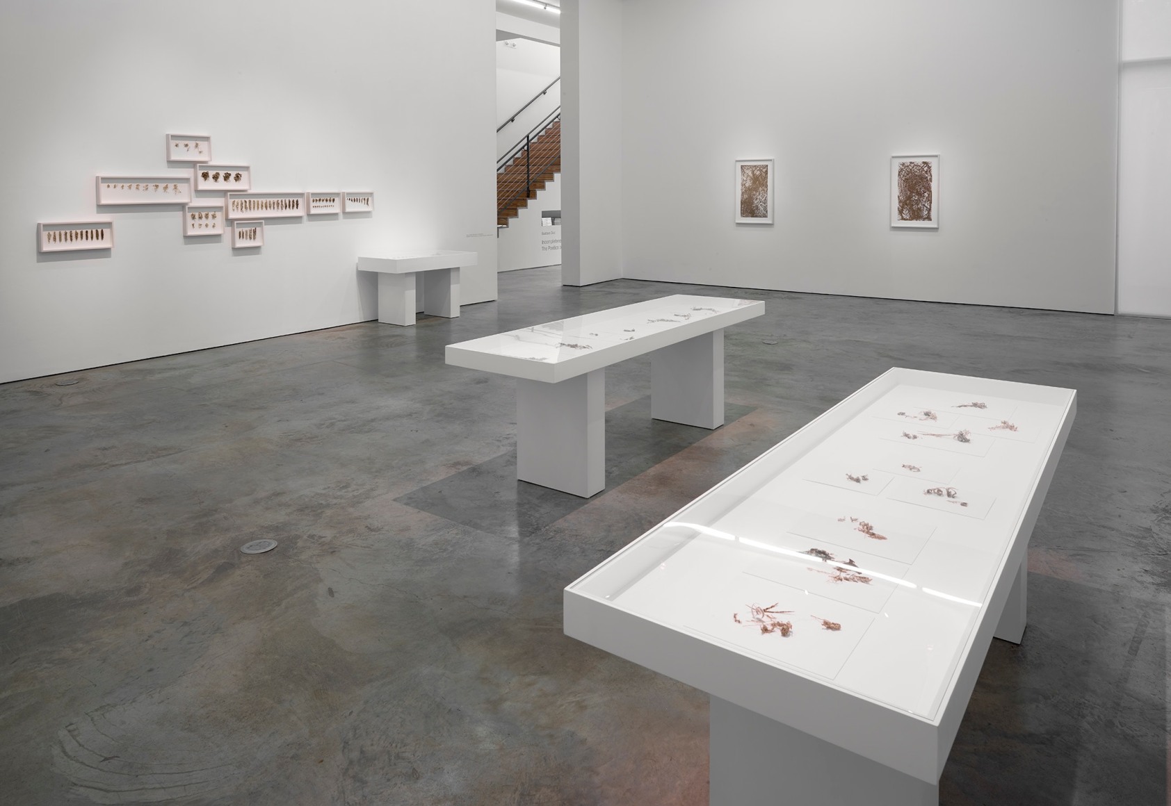 Installation view of&nbsp;Gustavo Diaz&#039;s&nbsp;2020&nbsp;exhibition&nbsp;Incompleteness: The Poetics of the Intangible&nbsp;at Sicardi | Ayers | Bacino.