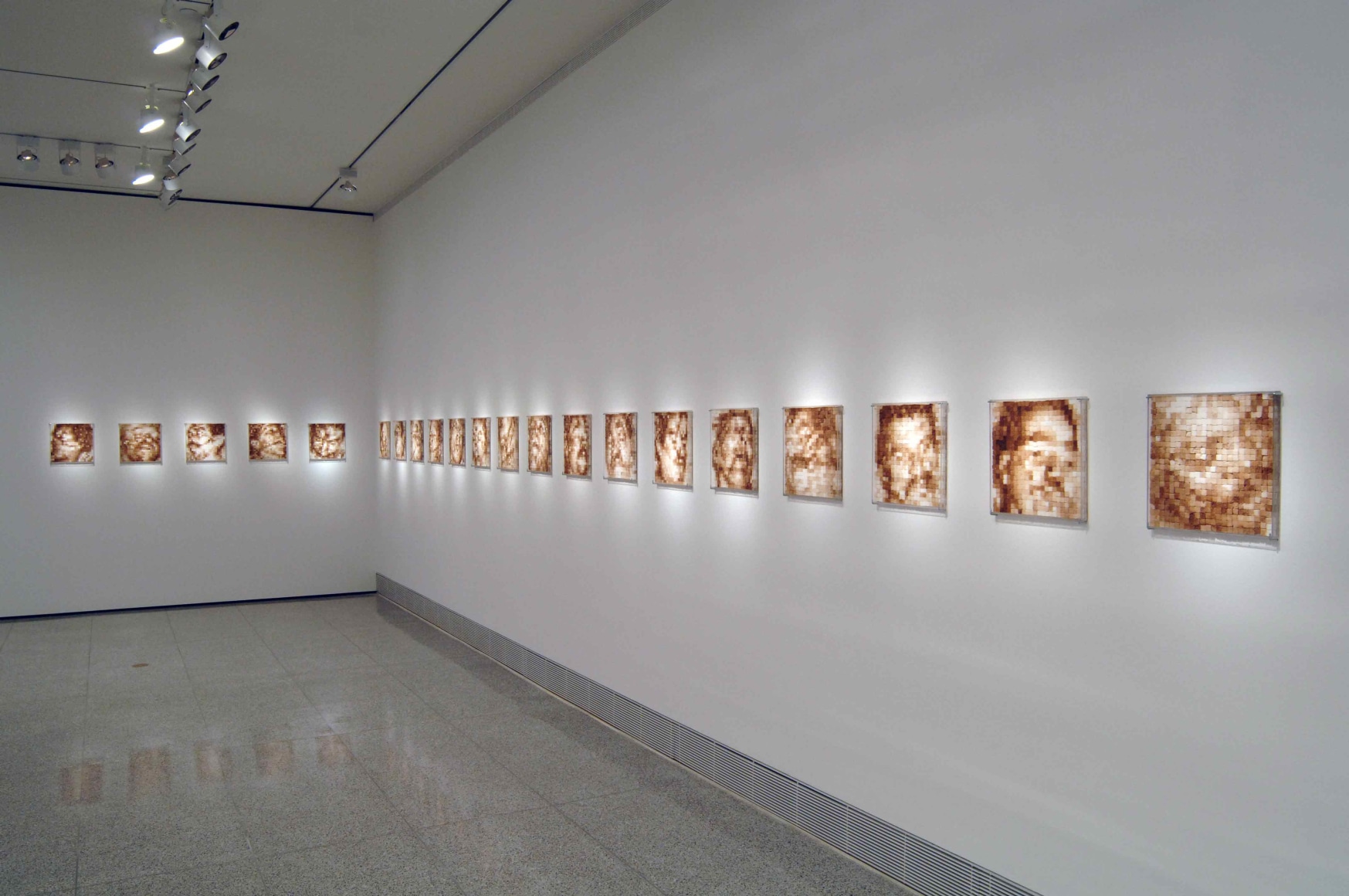 Installation view of Indelible Images exhibition at the Museum of Fine Arts, Houston, 2006. Featuring Oscar Mu&ntilde;oz, Serie Pixeles, set of 9 unique pieces (#1), 1999/2000. Sugar cubes, coffee,  Plexiglass, 13 3/4 x 13 3/4 in.