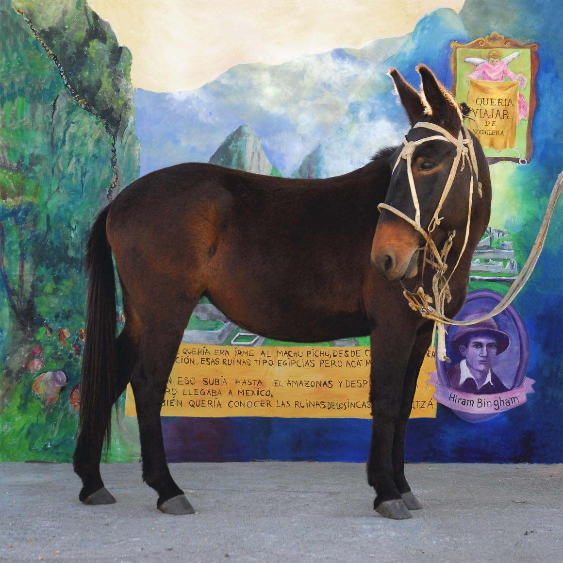 Adriana Bustos,&nbsp;Jacki y la ilusion de Fatima, 2009, Gicl&eacute;e en papel Canson Photographique 315 grams/ Baryta paper,&nbsp;49 3/16 x 49 3/16 in. (125 x 125 cm.)