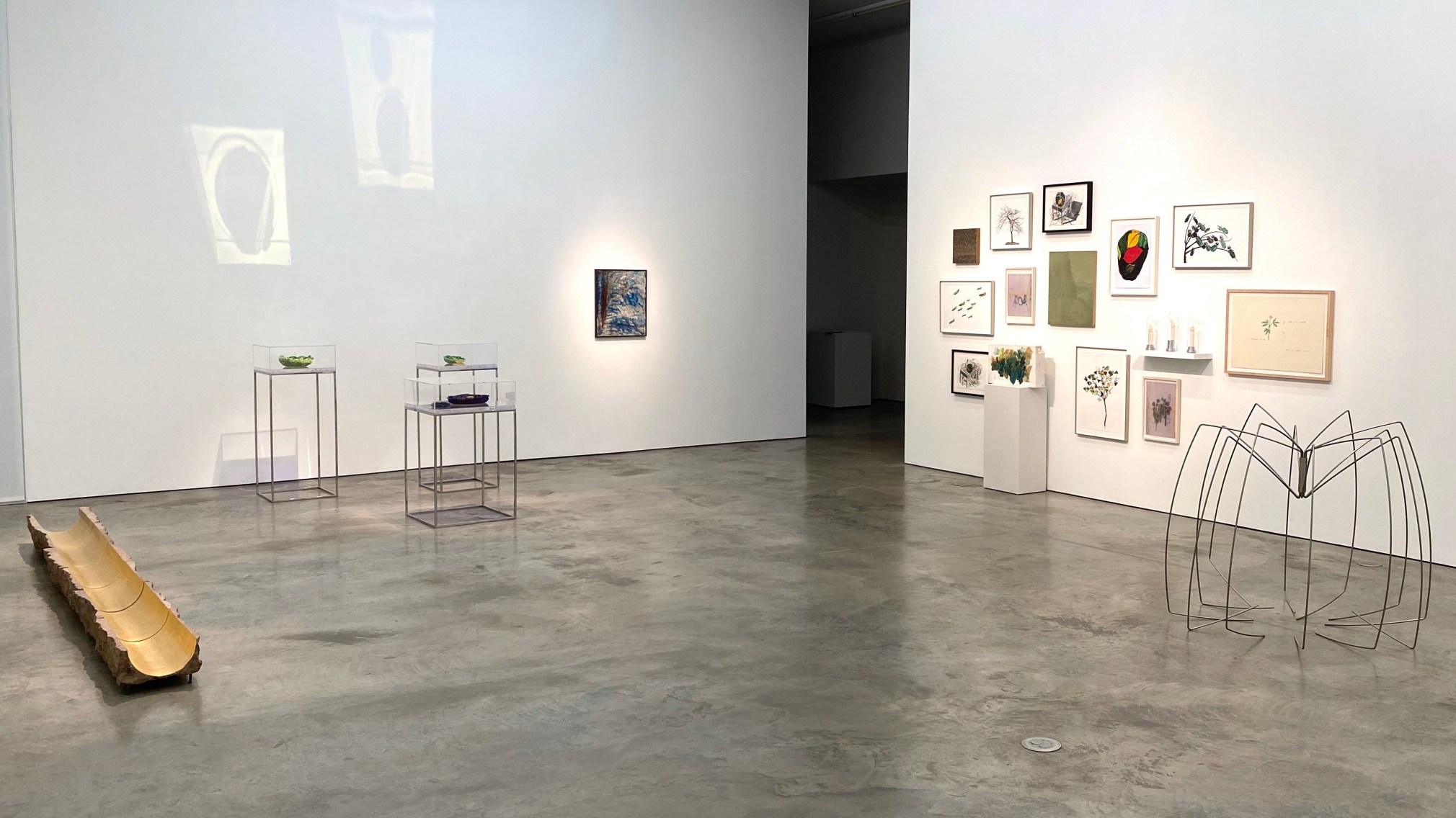 Installation view of the exhibition Nature at Sicardi Ayers Bacino, 2020.