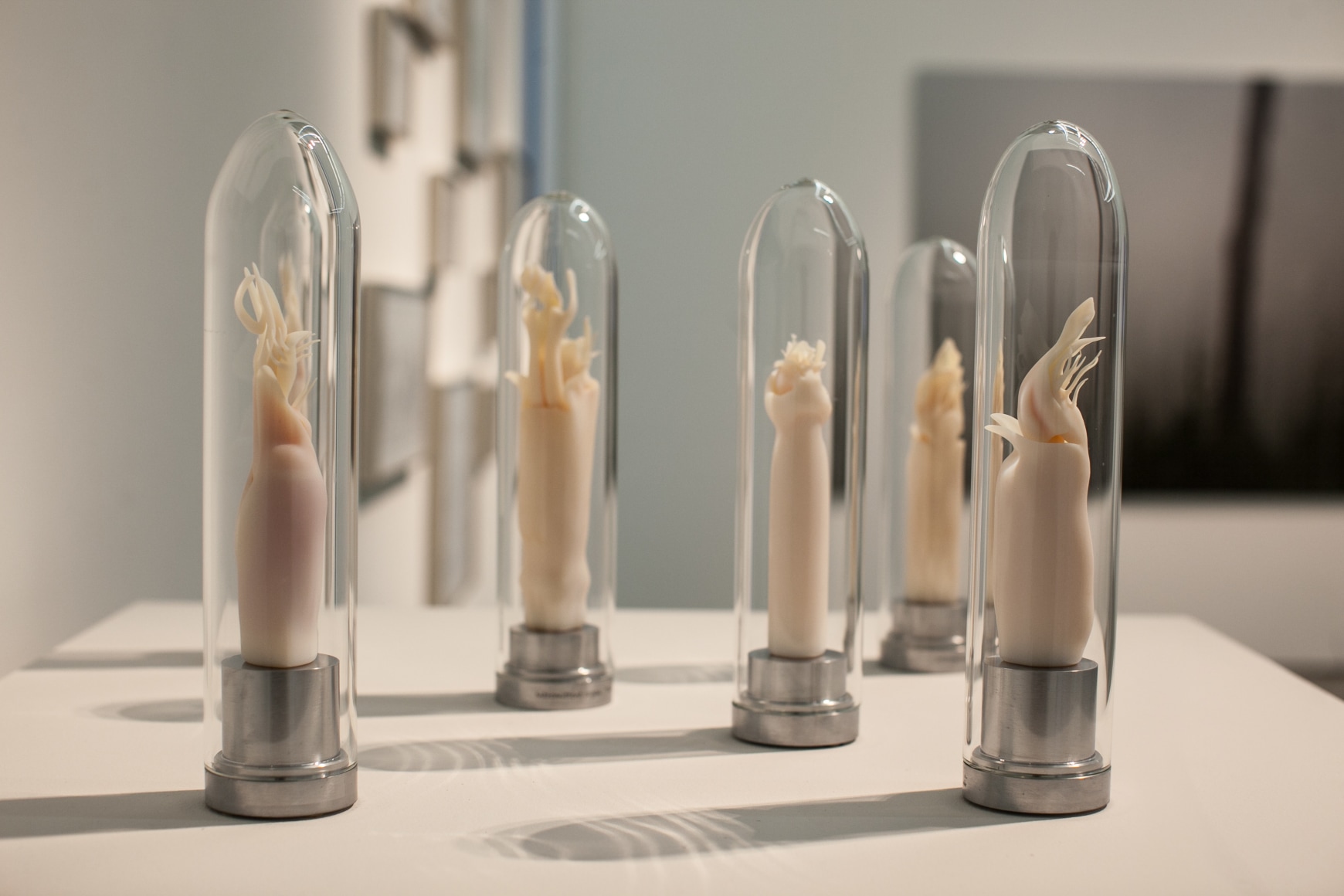 Mirando la flor, Installation view, 2016.