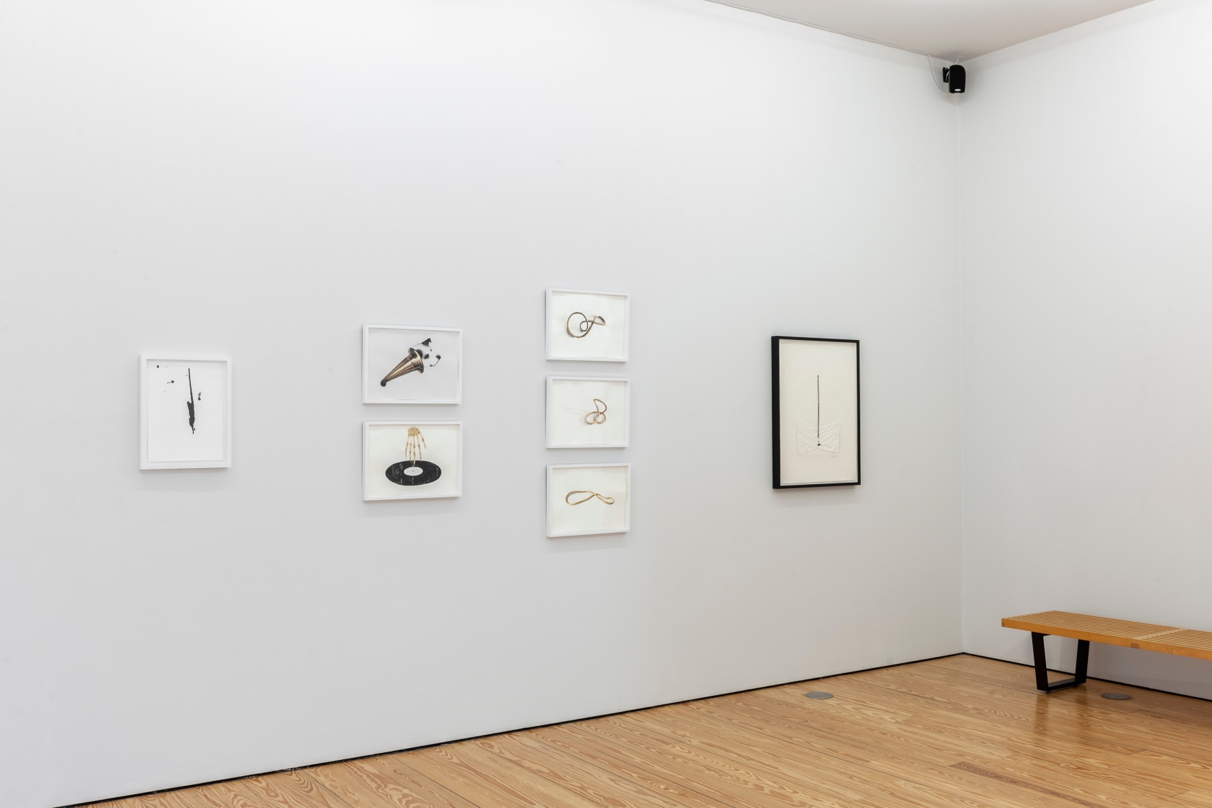 Common Ground. Sicardi | Ayers | Bacino, 2018