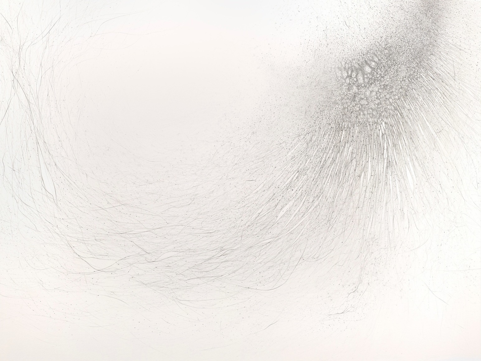 Gustavo D&iacute;az, From the series: Imaginary Flight Patterns III&nbsp;(detail), 2021. Graphite on paper, 41 7/8 x 59 3/8 in.