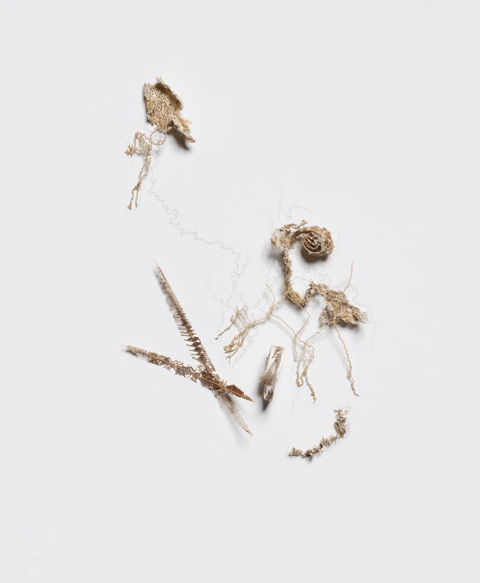 Gustavo D&iacute;az, A Brush with Uncertainty #18, 2019 Cut out paper &amp;amp; pencil, 14 &frac34; x 12 ⅞ x 2 &frac12; in.