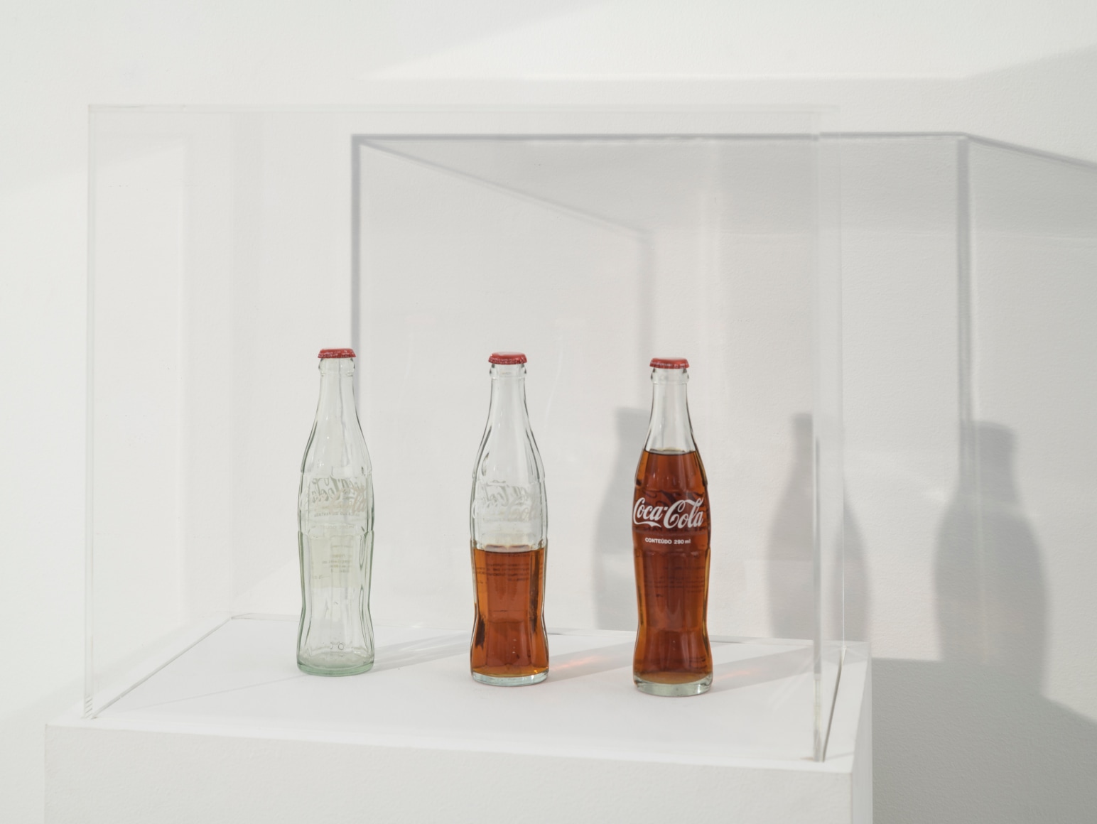 Cildo Meireles, Insertions into Ideological Circuits: Coca Cola Project, 1970-2018. 3 glass bottles, 3 metal caps, liquid, and adhesive labels with text, 53 1/2 x 22 x 14 in (135.9 x 55.9 x 35.6 cm.)&nbsp;