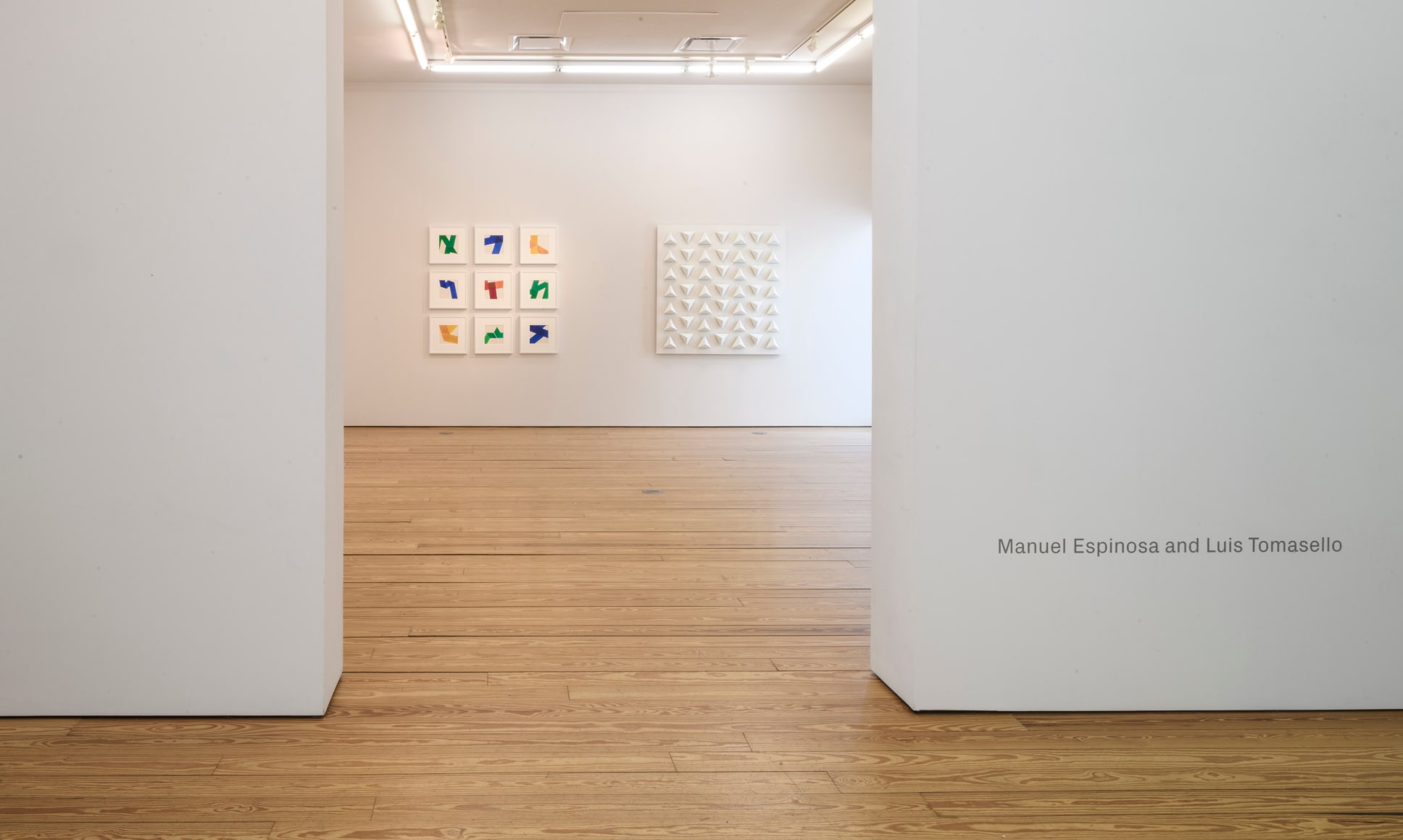 Manuel Espinosa and Luis Tomasello, installation view, 2022.