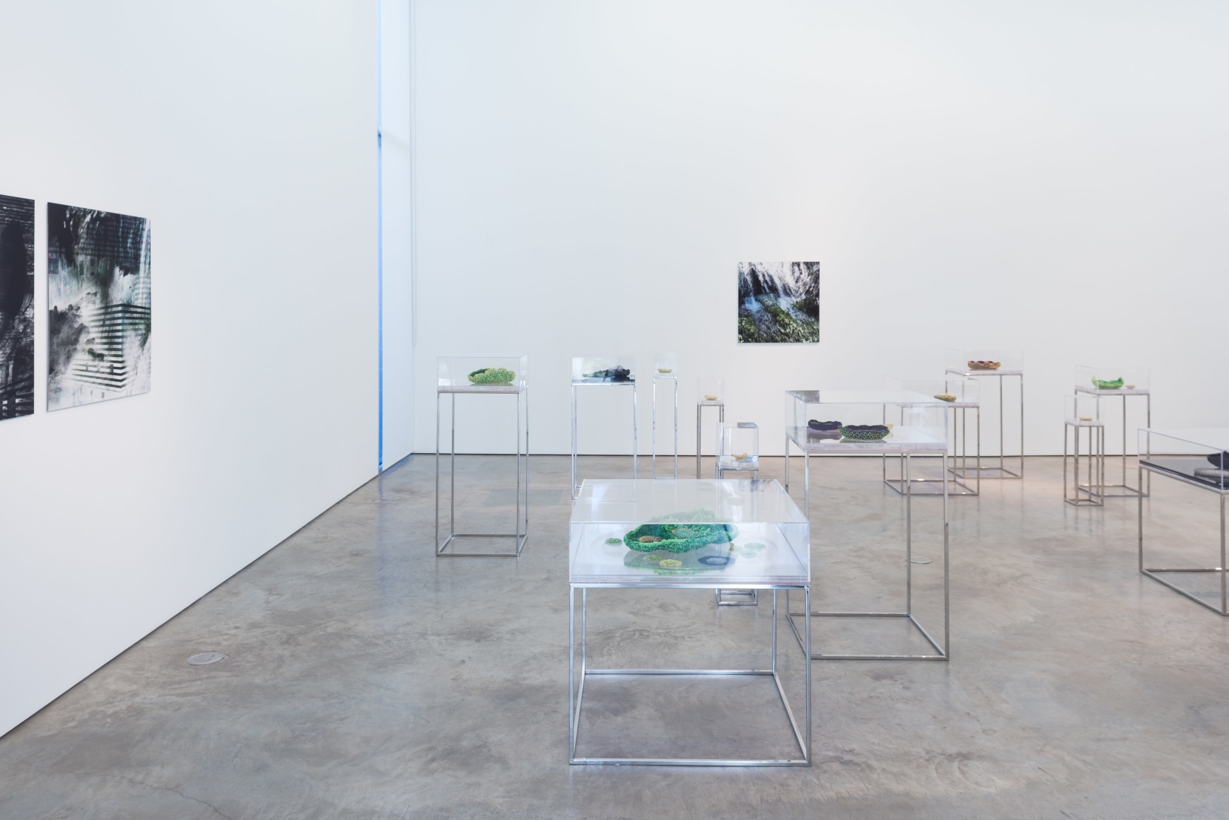 Ana Maria Tavares: Euryale Amazonica, installation view at Sicardi Gallery, 2014.