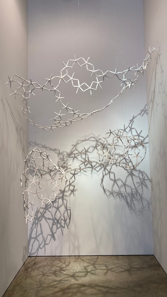 Installation view of the exhibition Nature at Sicardi Ayers Bacino, 2020.