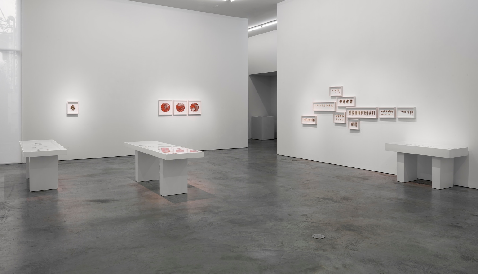 Installation view of&nbsp;Gustavo Diaz&#039;s&nbsp;2020&nbsp;exhibition&nbsp;Incompleteness: The Poetics of the Intangible&nbsp;at Sicardi | Ayers | Bacino.