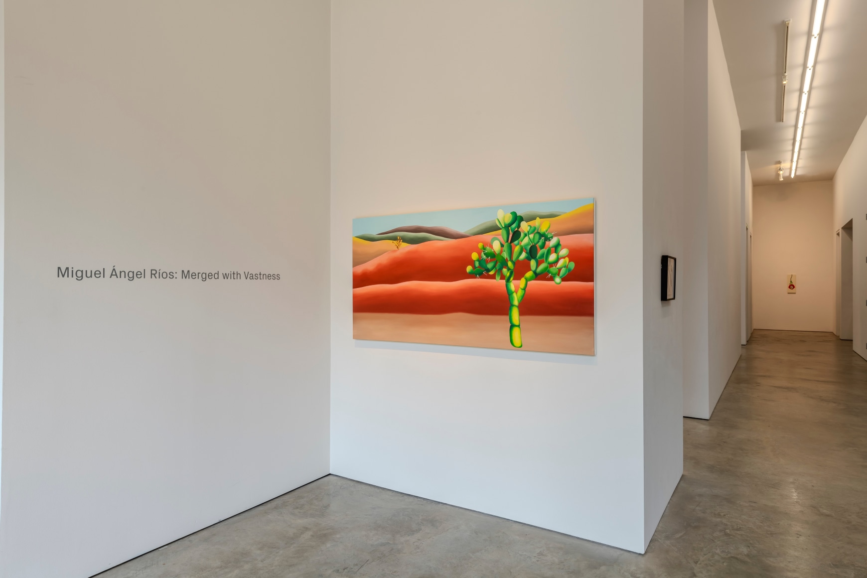 Miguel Angel R&iacute;os: Merged with Vastness, installation at Sicardi | Ayers | Bacino. Photo by Anthony Rathbun.