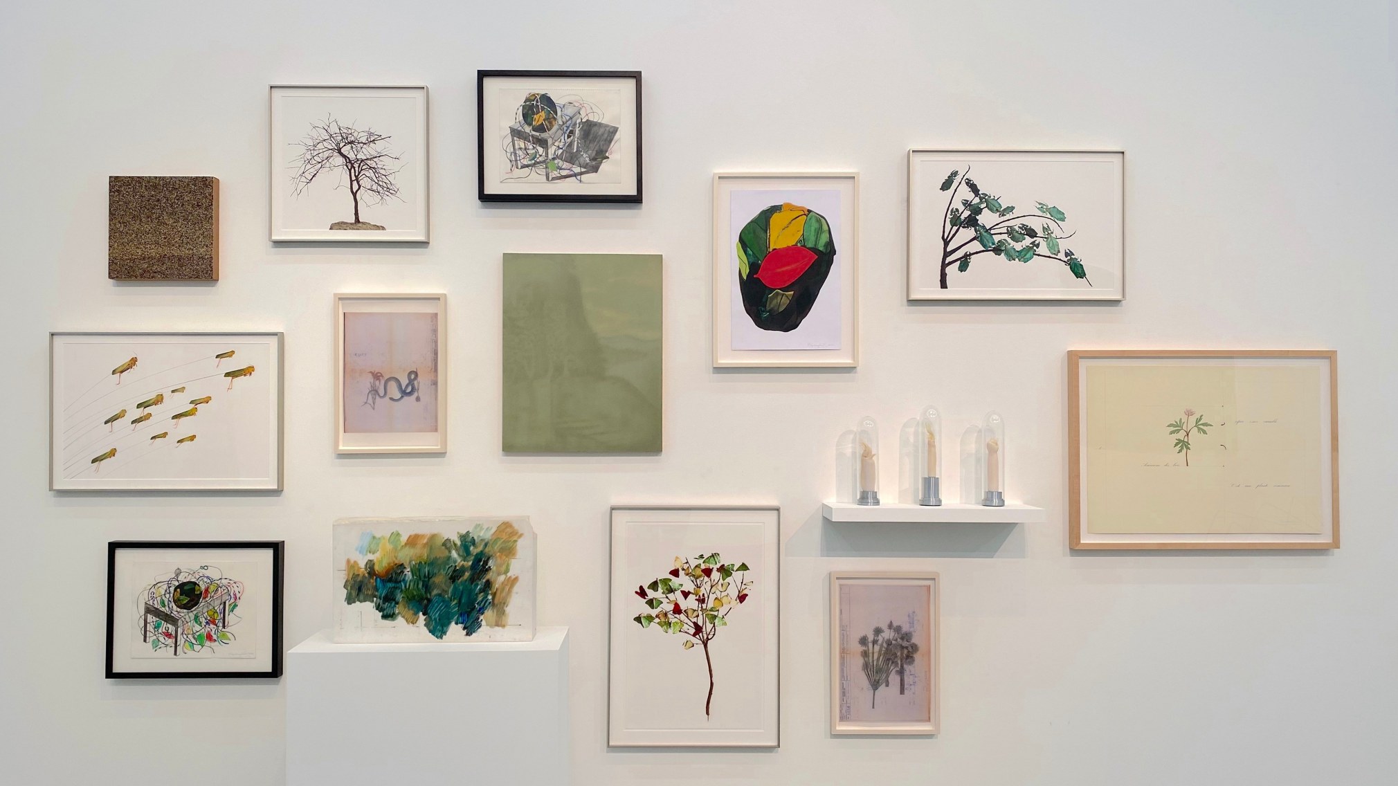 Installation view of the exhibition Nature at Sicardi Ayers Bacino, 2020.