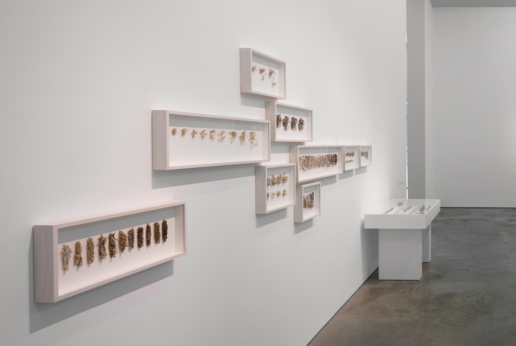Installation view of&nbsp;Gustavo Diaz&#039;s&nbsp;2020&nbsp;exhibition&nbsp;Incompleteness: The Poetics of the Intangible&nbsp;at Sicardi | Ayers | Bacino.