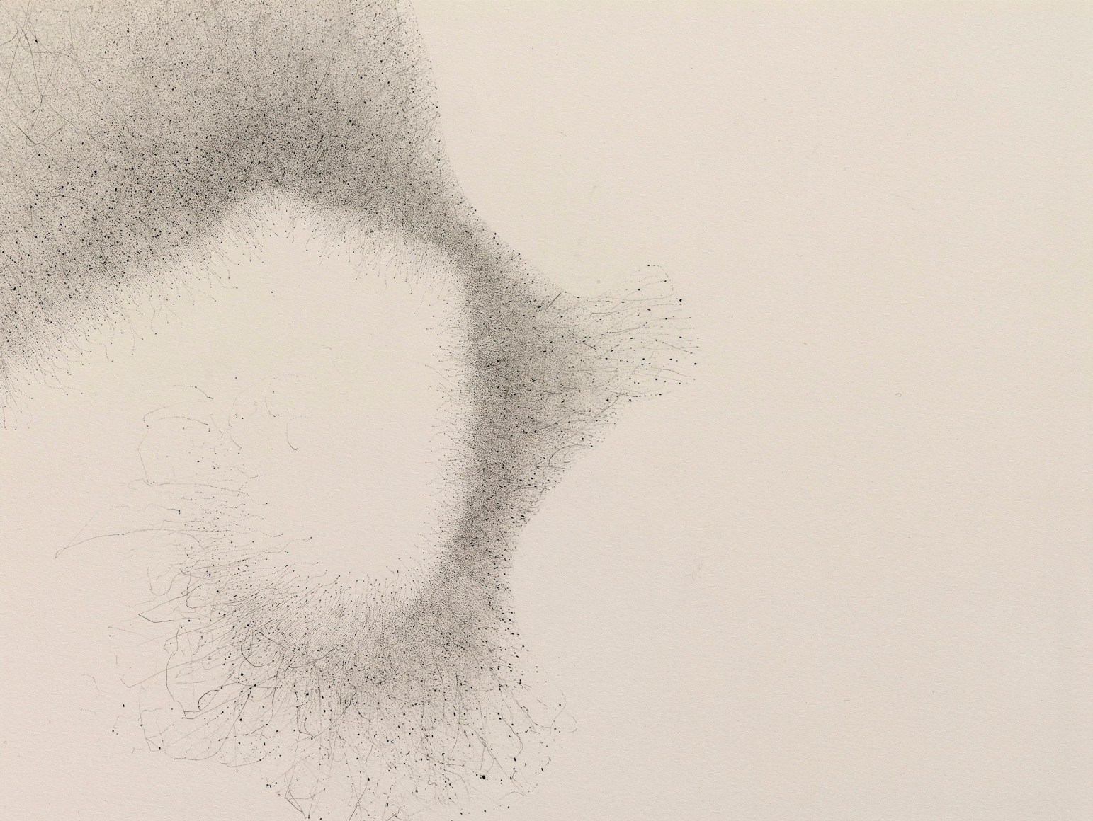 Gustavo D&iacute;az, Untitled&nbsp;(detail), 2021. Graphite on paper, 22 5/8 x 30 1/8 in.