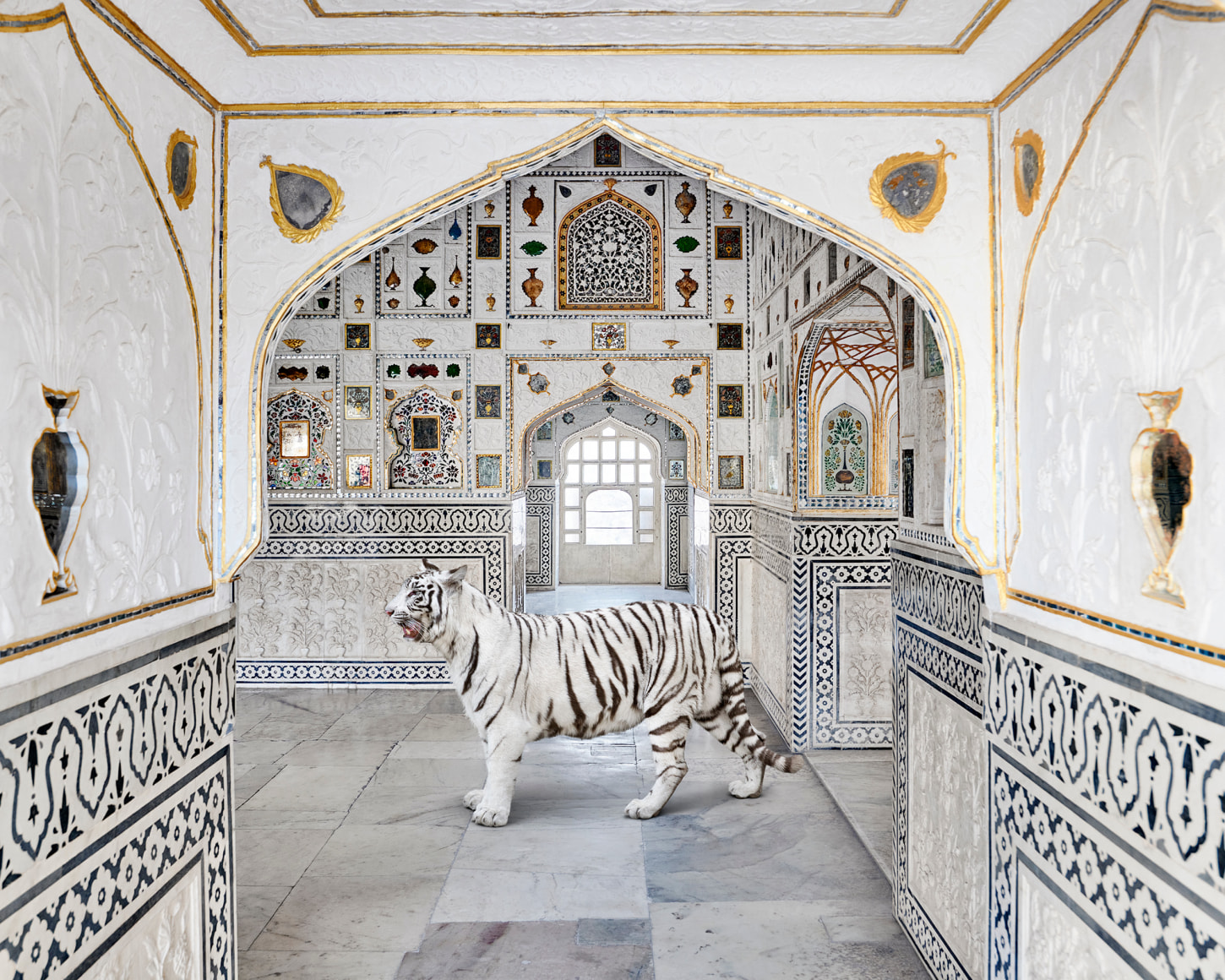 Karen Knorr&nbsp;, Tiger Breath, Sheesh Mahal, Amer Fort. 2020