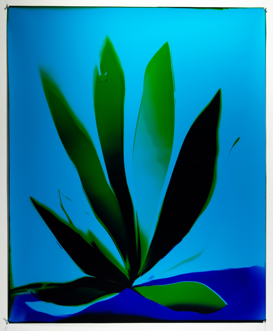 Cool Ocean Lotus, 2019 , 48 x 40 inches 