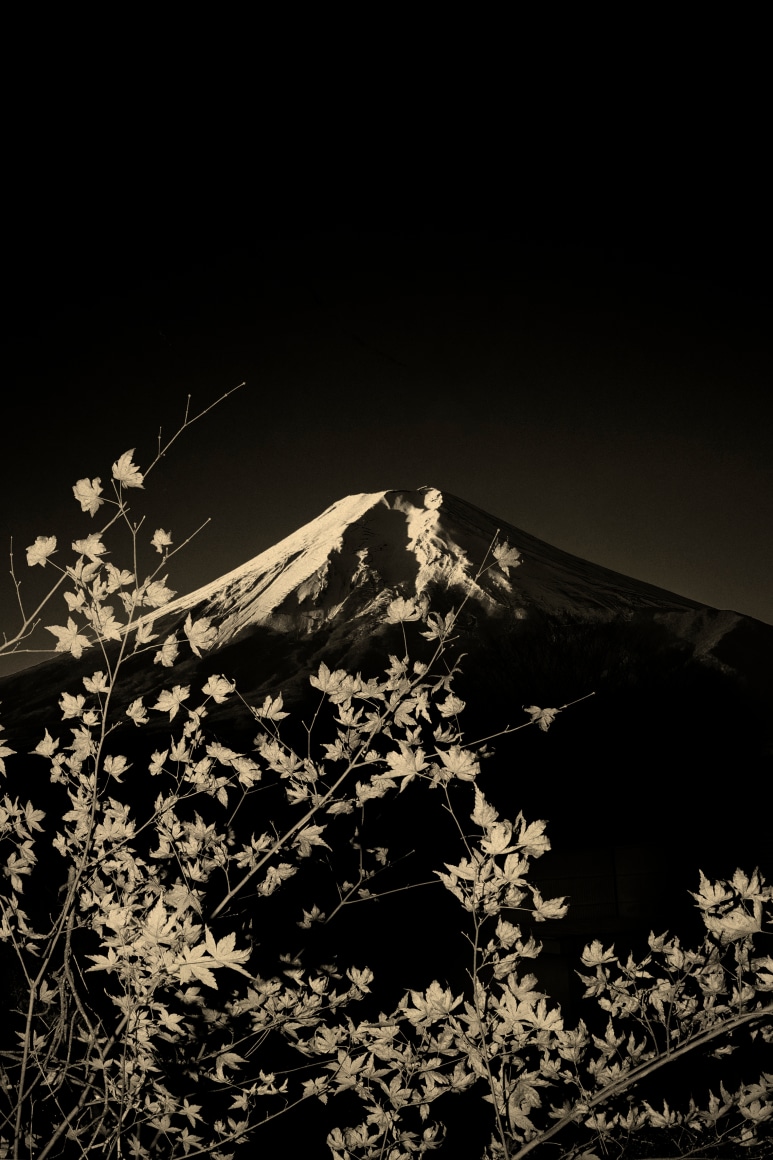 Paul Cupido, Fuji #3, 2019