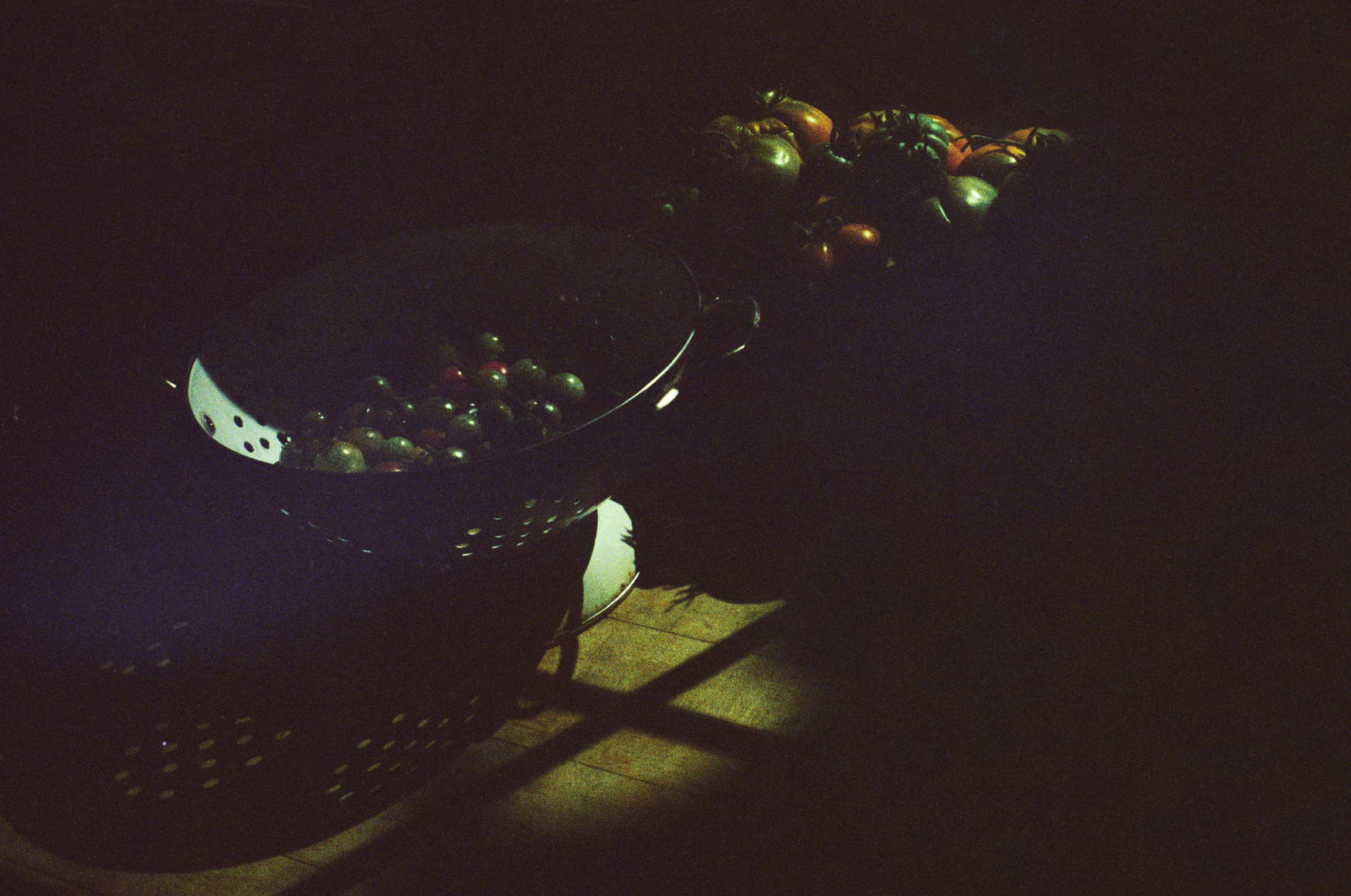 Olivia Bee, Tomatoes, 2020 