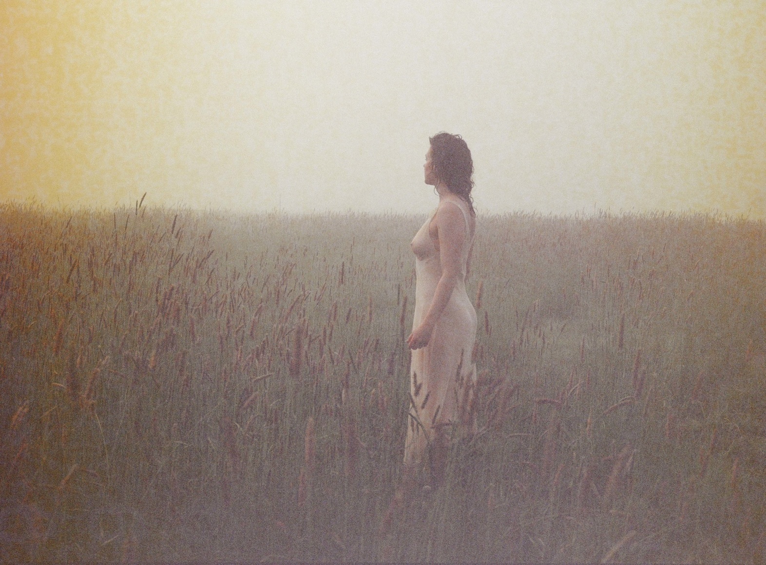 Olivia Bee, Fescue in May, 2023